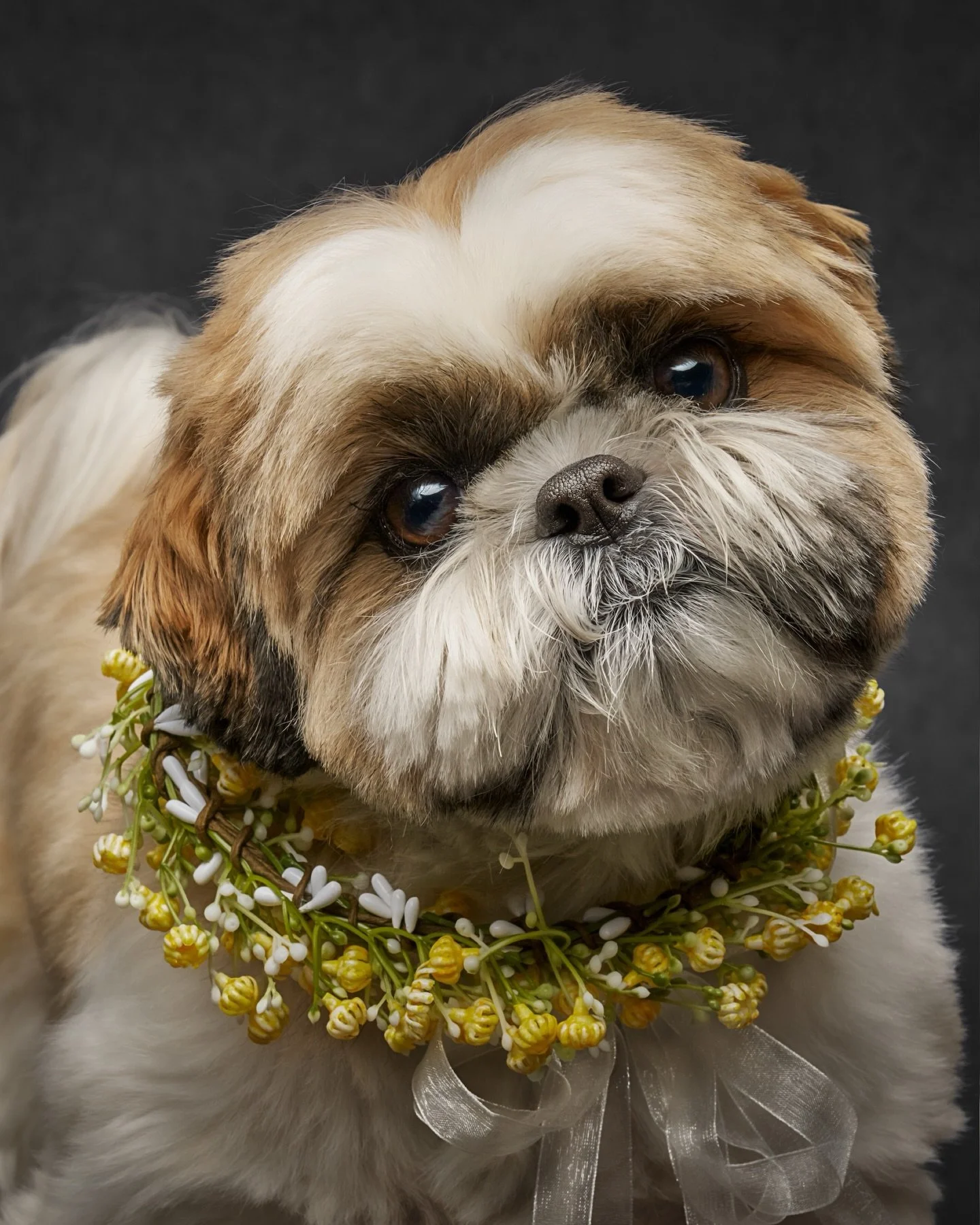 Who else is ready for spring? 🌿

There&rsquo;s something about this season that feels like possibility. Light shifting. Air softening. Everything waking up.

Here at Olive &amp; Fable, we have a few beautiful surprises unfolding over the next couple