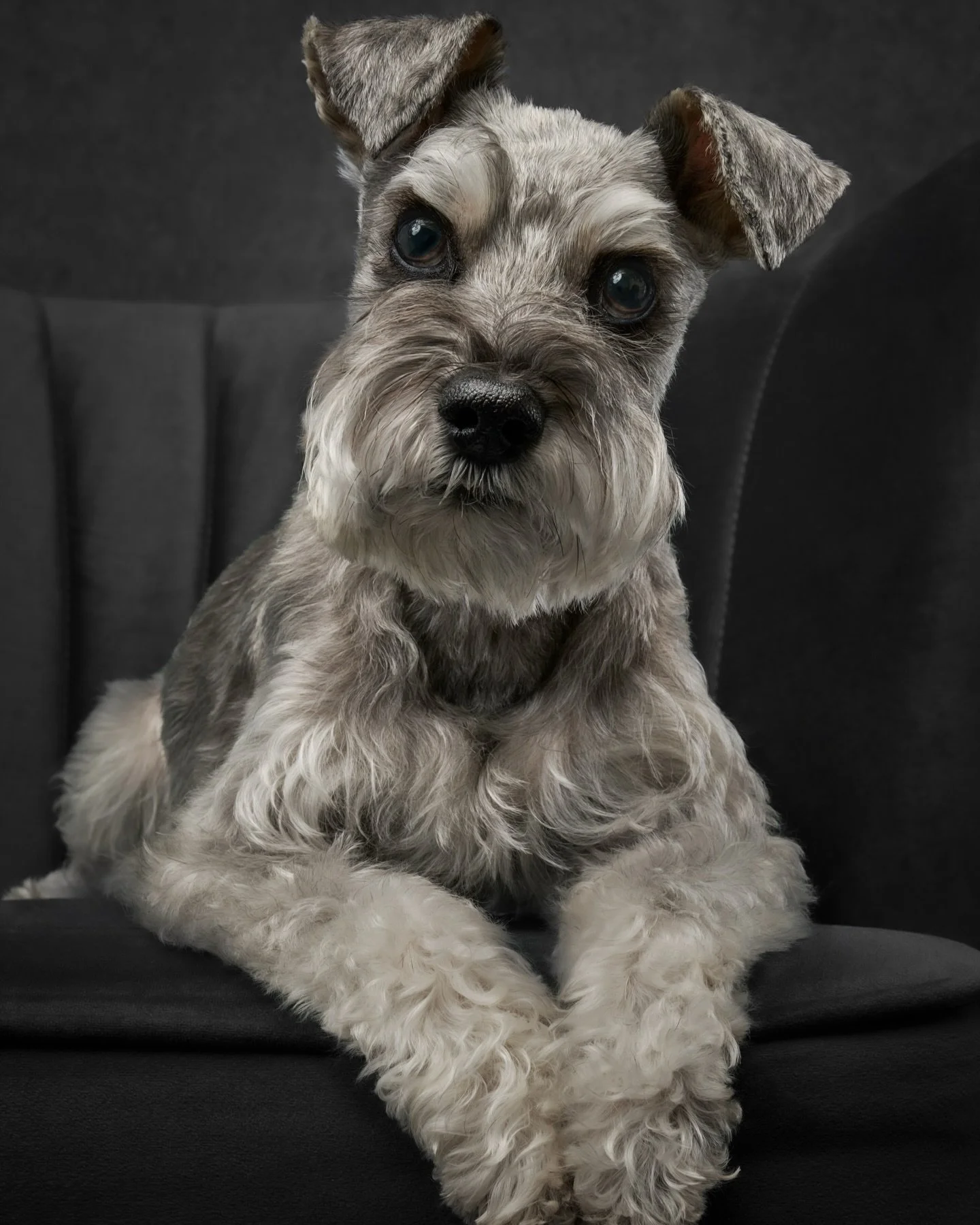 The heart behind what we do has always been legacy.

Something that lasts.
Something with substance.

Because the subjects we photograph have exactly that. 

Emma is a great example. 

Her resilience.
Her loyalty.
The way she&rsquo;s been such an imp