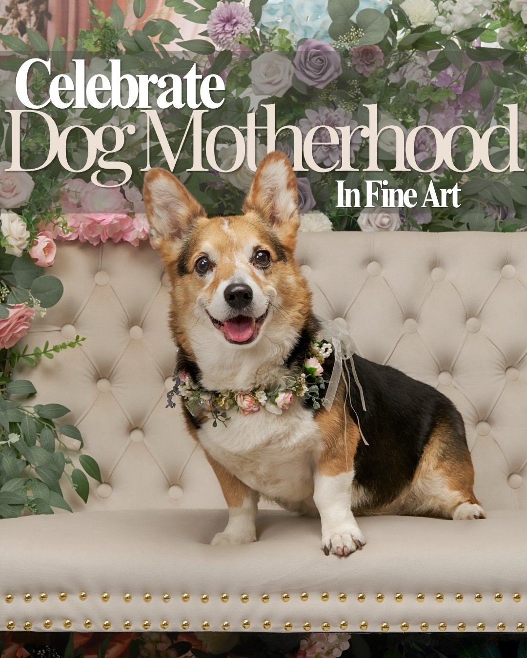 Have you been seeing all the Mother&rsquo;s Day sessions everywhere lately?

Here&rsquo;s the difference&hellip;
these are for dog moms 🐾

The ones whose routines revolve around paws, walks, and quiet companionship.
The ones who love deeply, even if