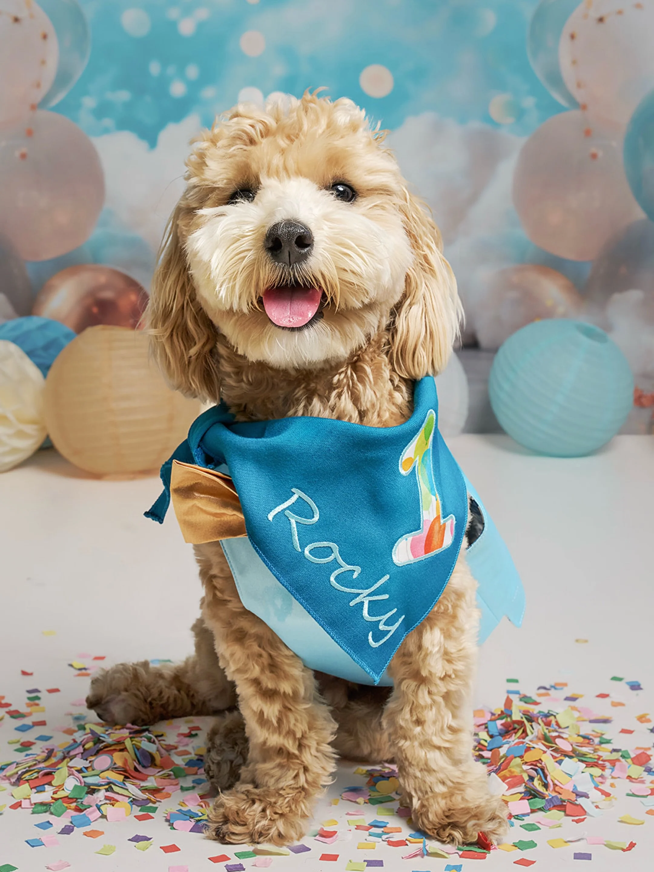 Want to know what it looks like to have Olive &amp; Fable at your birthday celebration?

Just ask Rocky.

Rocky invited us to his birthday party at Coby&rsquo;s Cafe to help capture the day and create something truly special. Together, we planned a c