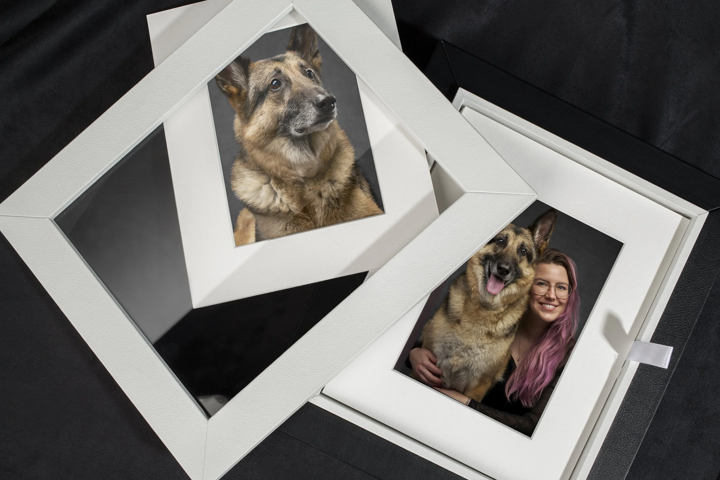 Kirklan dog photo display