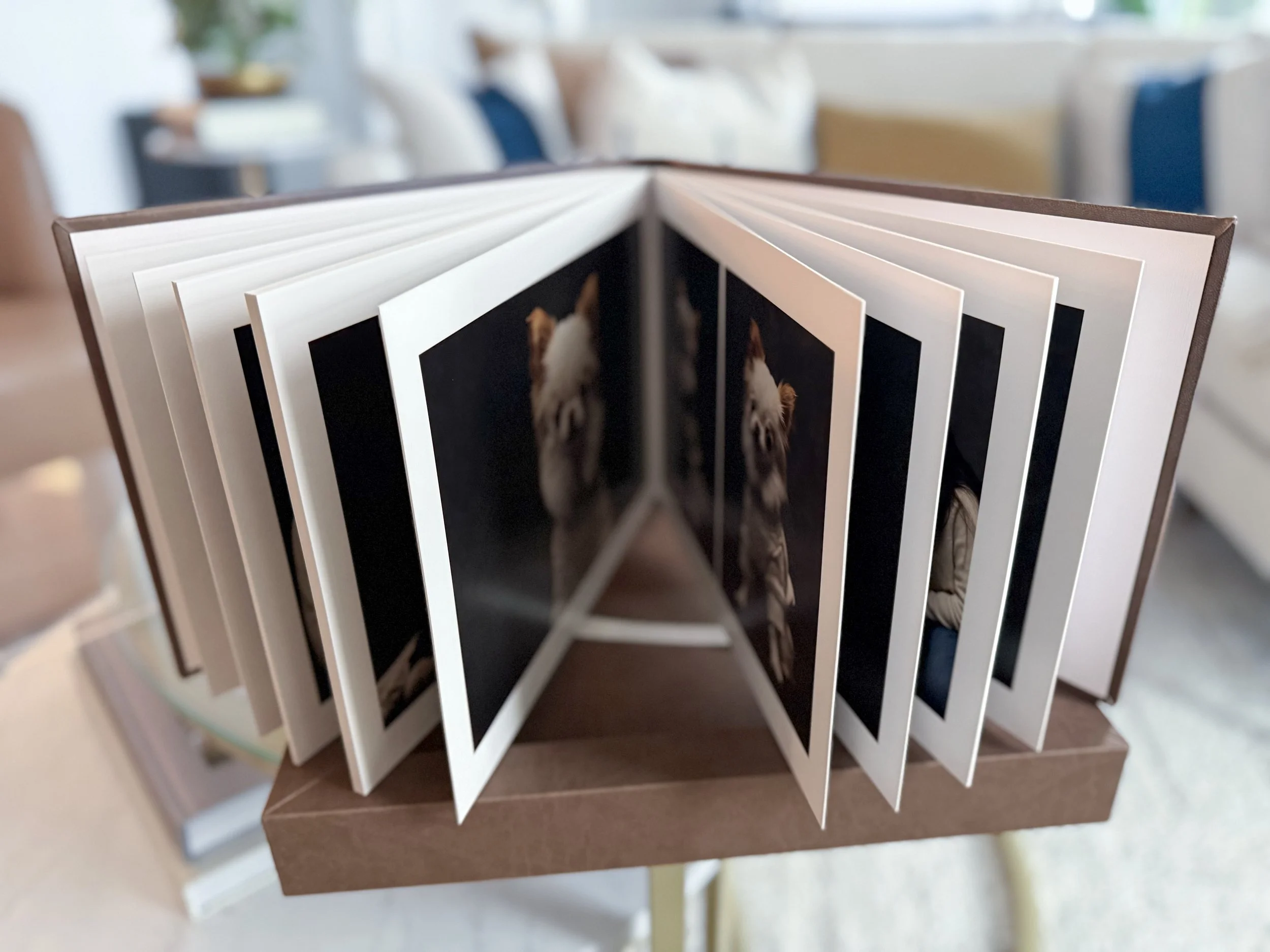 Open photo album with pages displaying pictures of a dog, on a table in a living room with blurred furniture and cushions in the background.