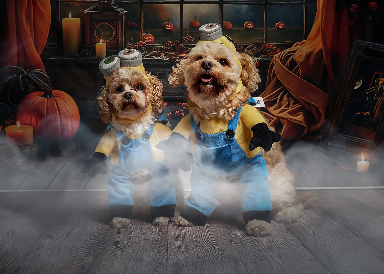 Halloween Pop up during Coby's Cafe Halloween Party