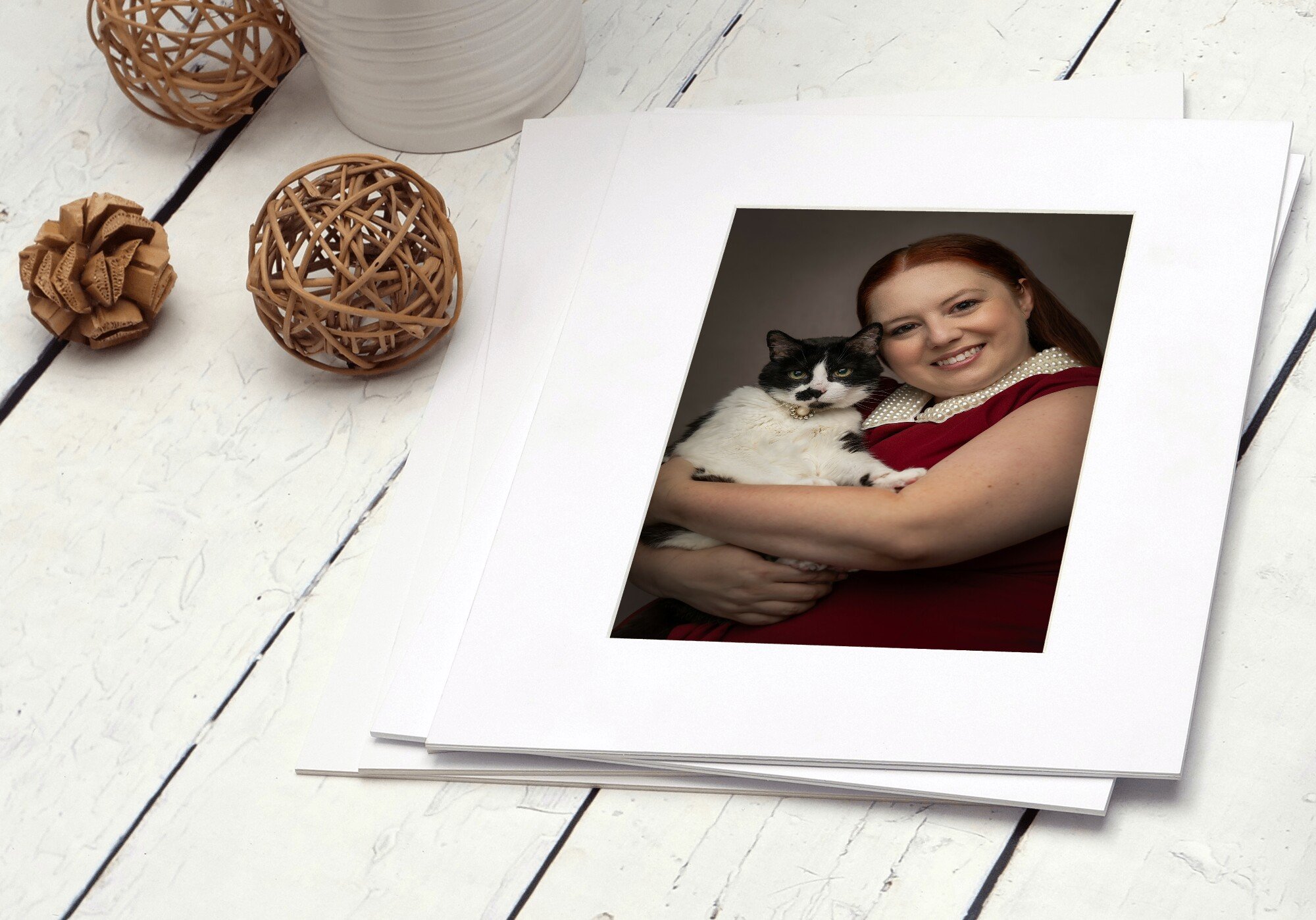 seattle dog photography portrait