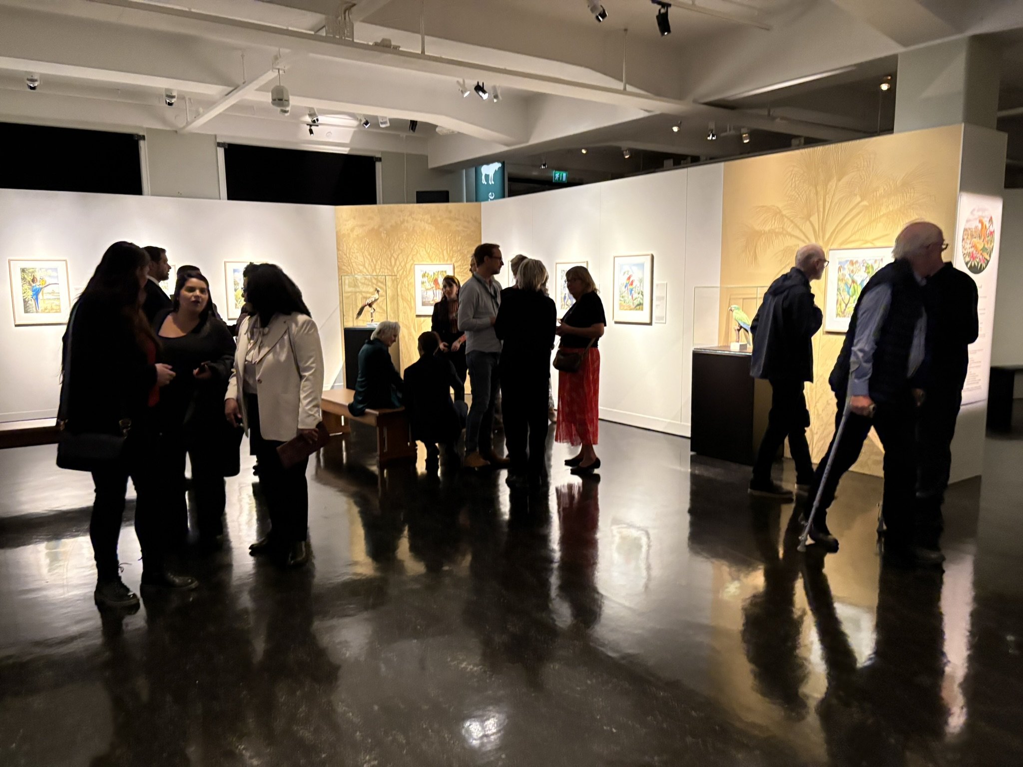 BIRDS OF BRAZIL EXHIBITION AT THE NATURAL HISTORY MUSEUM IN STOCKHOLM