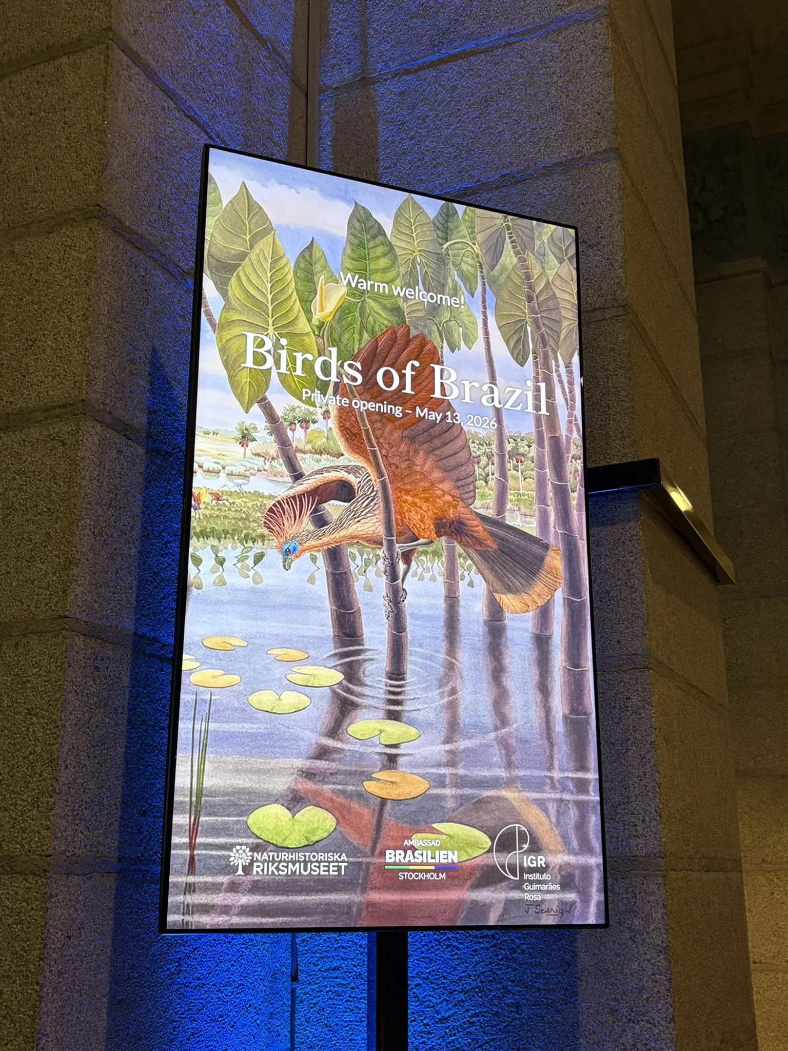 BIRDS OF BRAZIL EXHIBITION IN STOCKHOLM