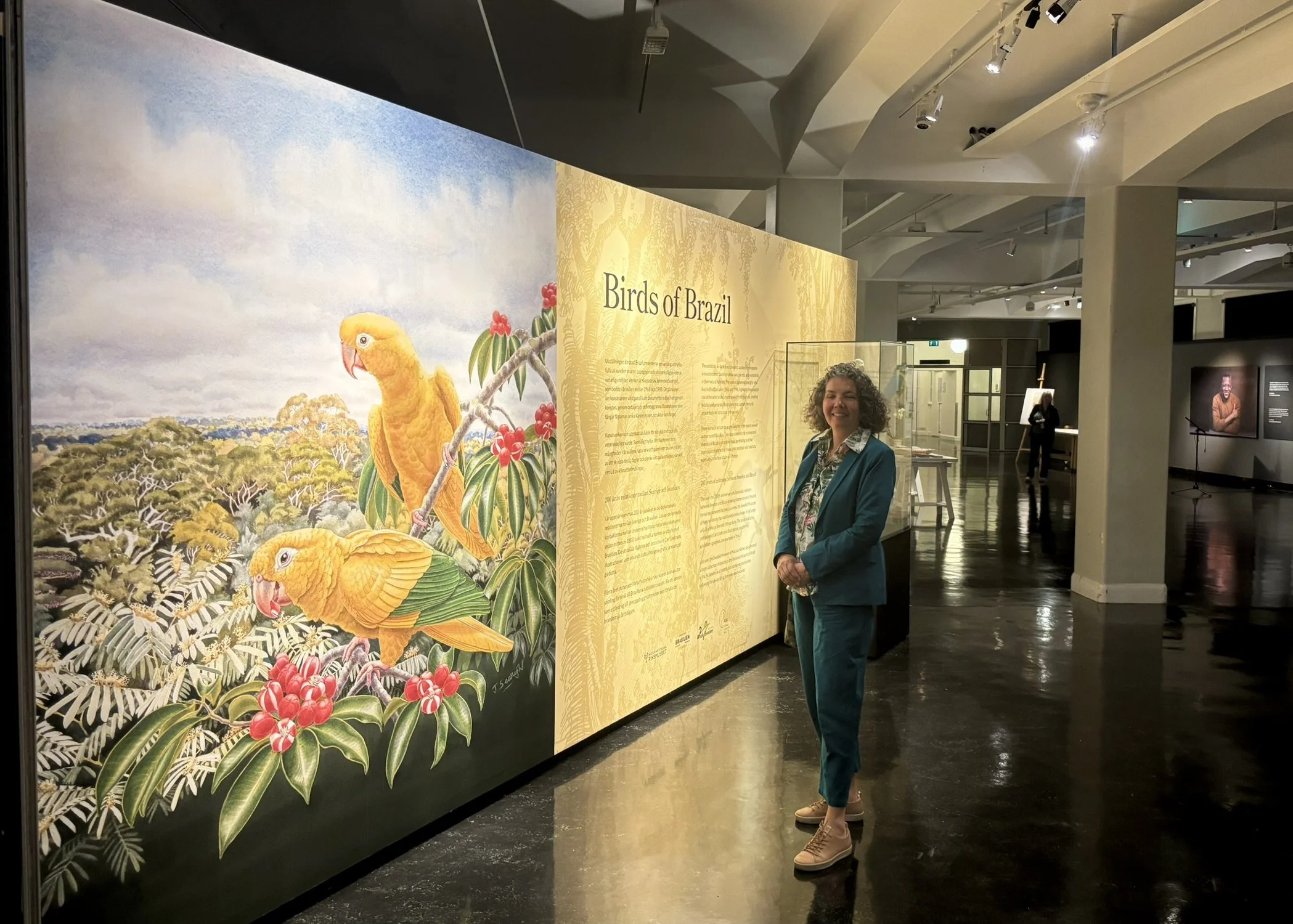 BIRDS OF BRAZIL EXHIBITION 14 MAY 2026  IN THE NATURAL HISTORY MUSEUM IN STOCKHOLM