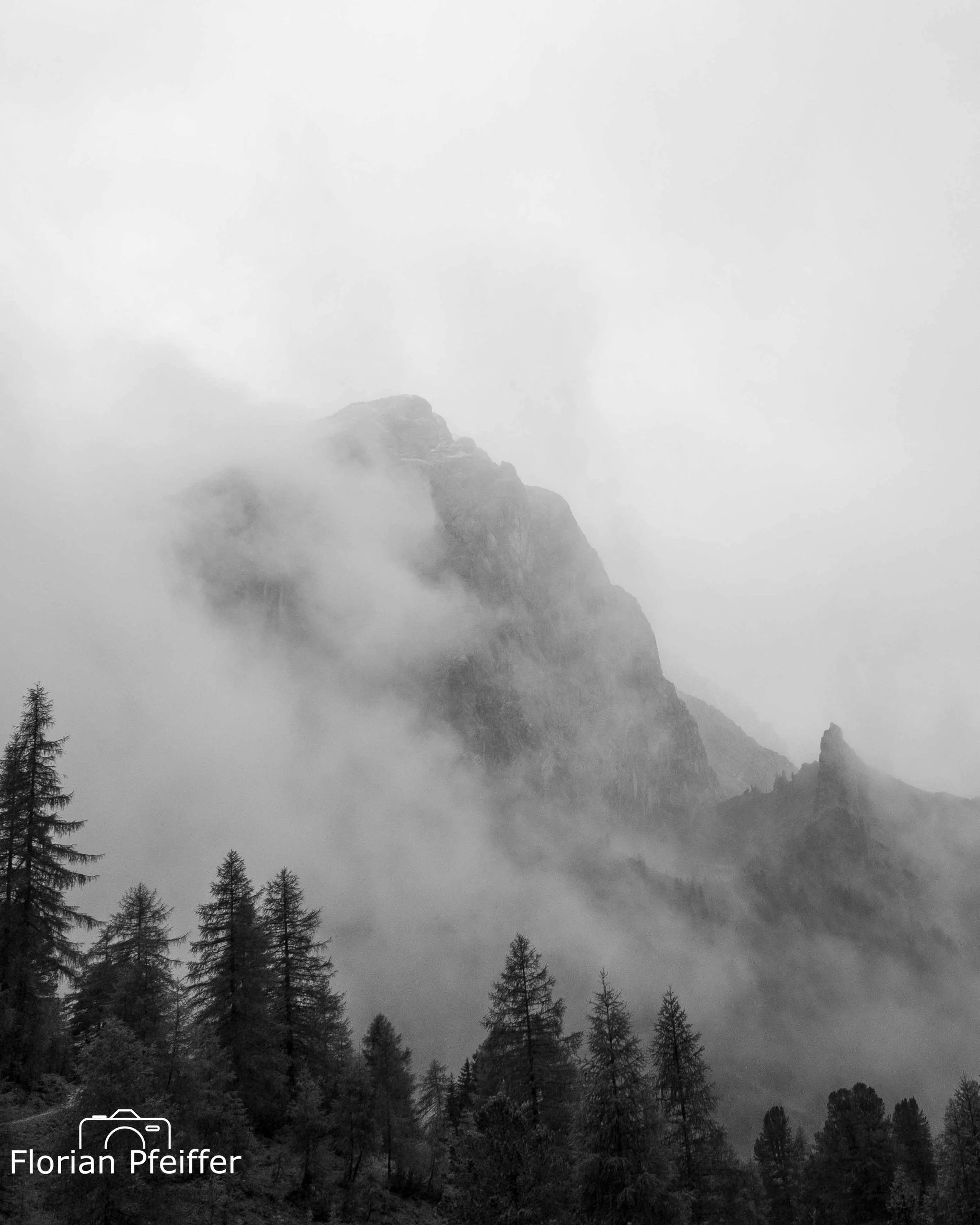 foggy mountains with trees in foreground in black and white