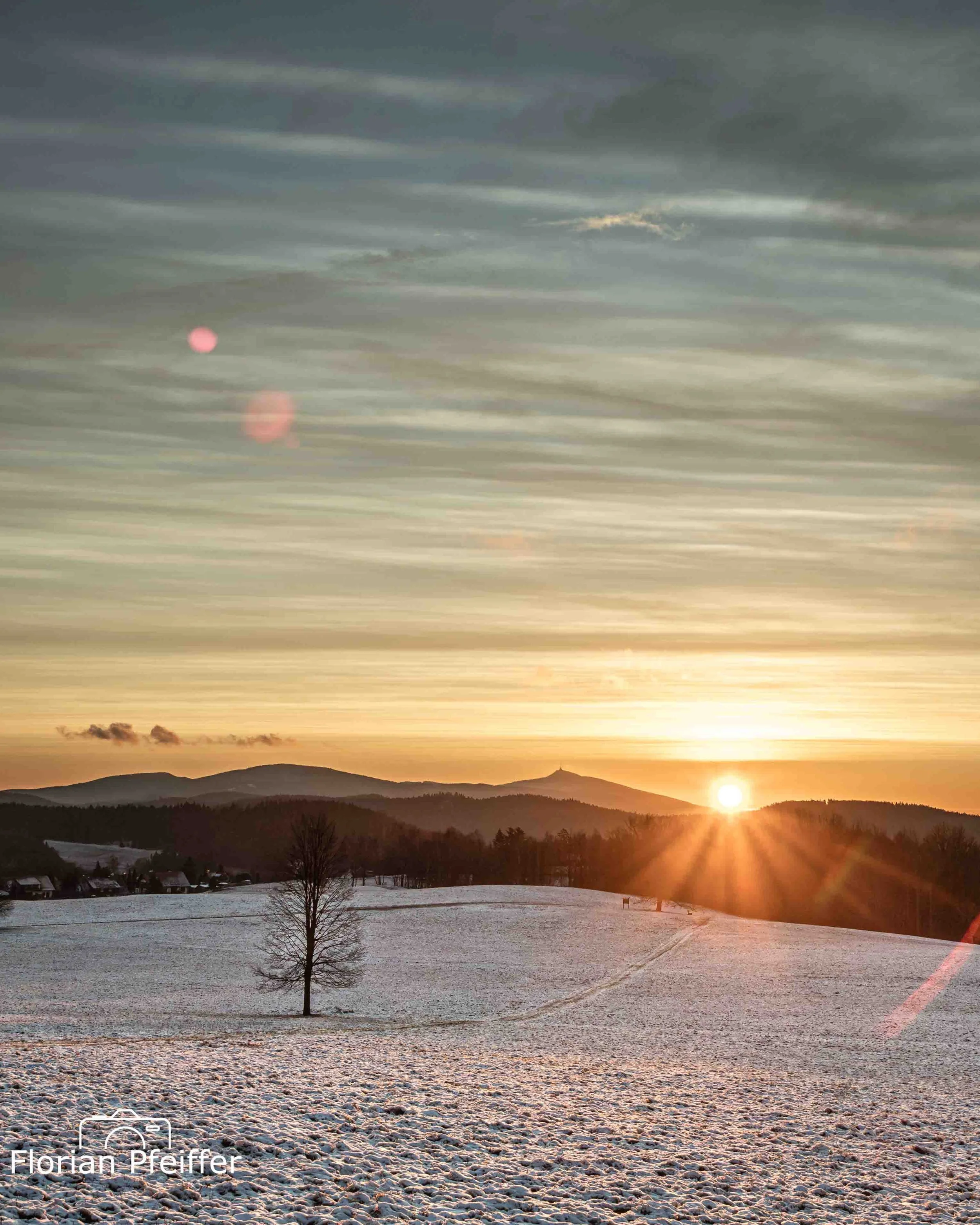 winter morning sunrise landscape image with shades of blue in. the sky and a single tree in a white snowy foreground 