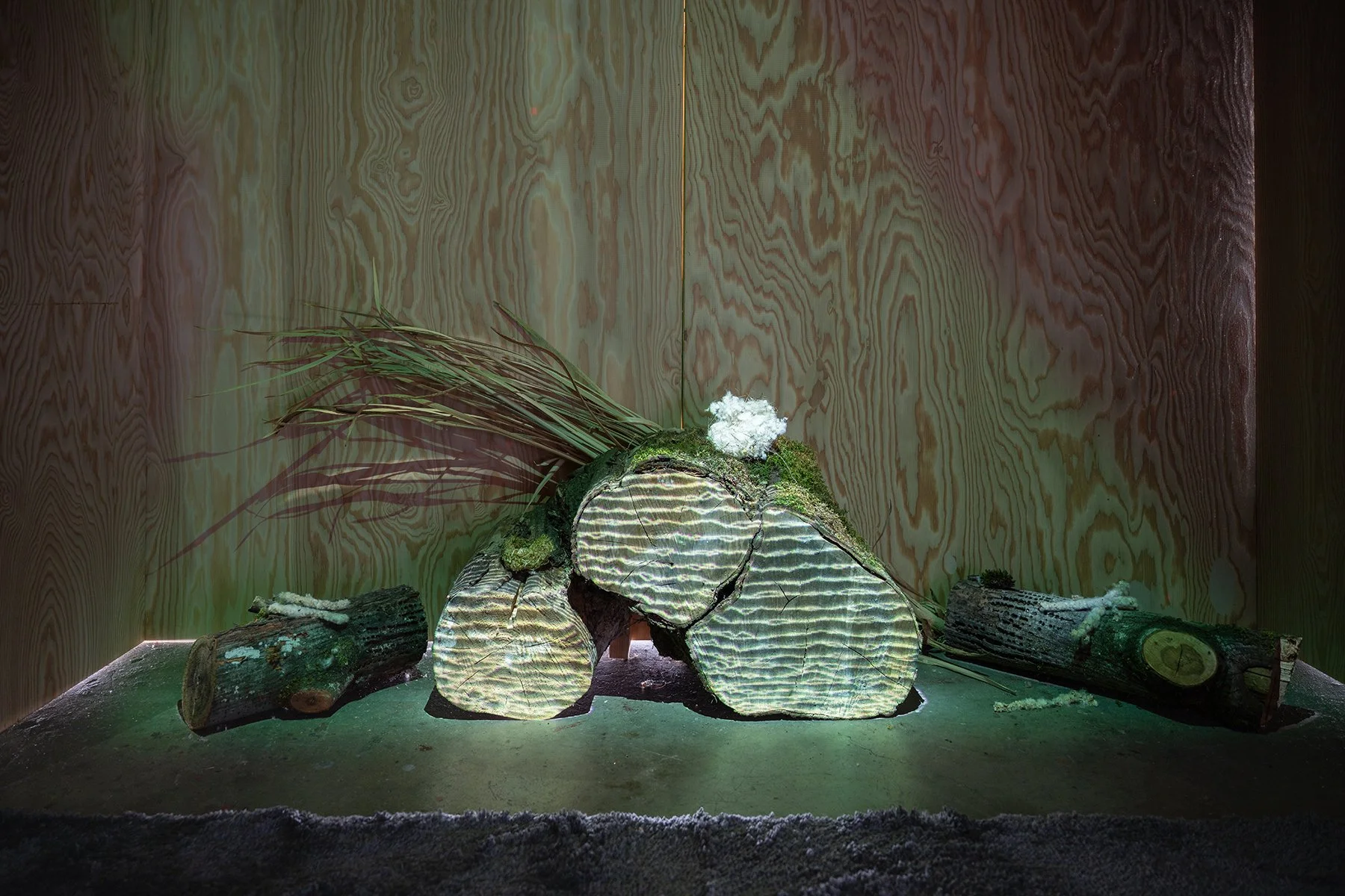 Terrain-2025-DZC_4397small.jpg