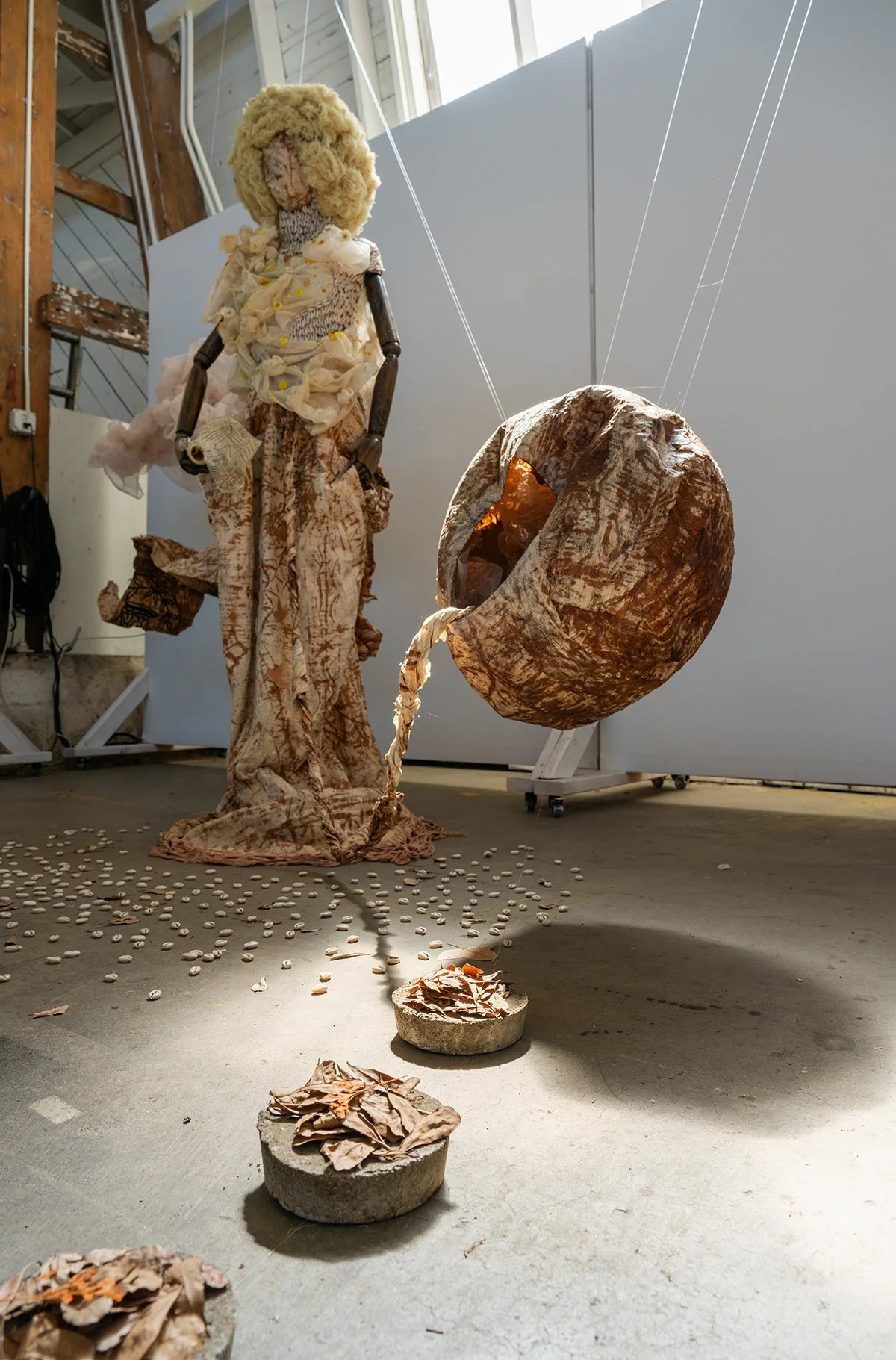 Terrain-2025-DZC_4264 small.jpg