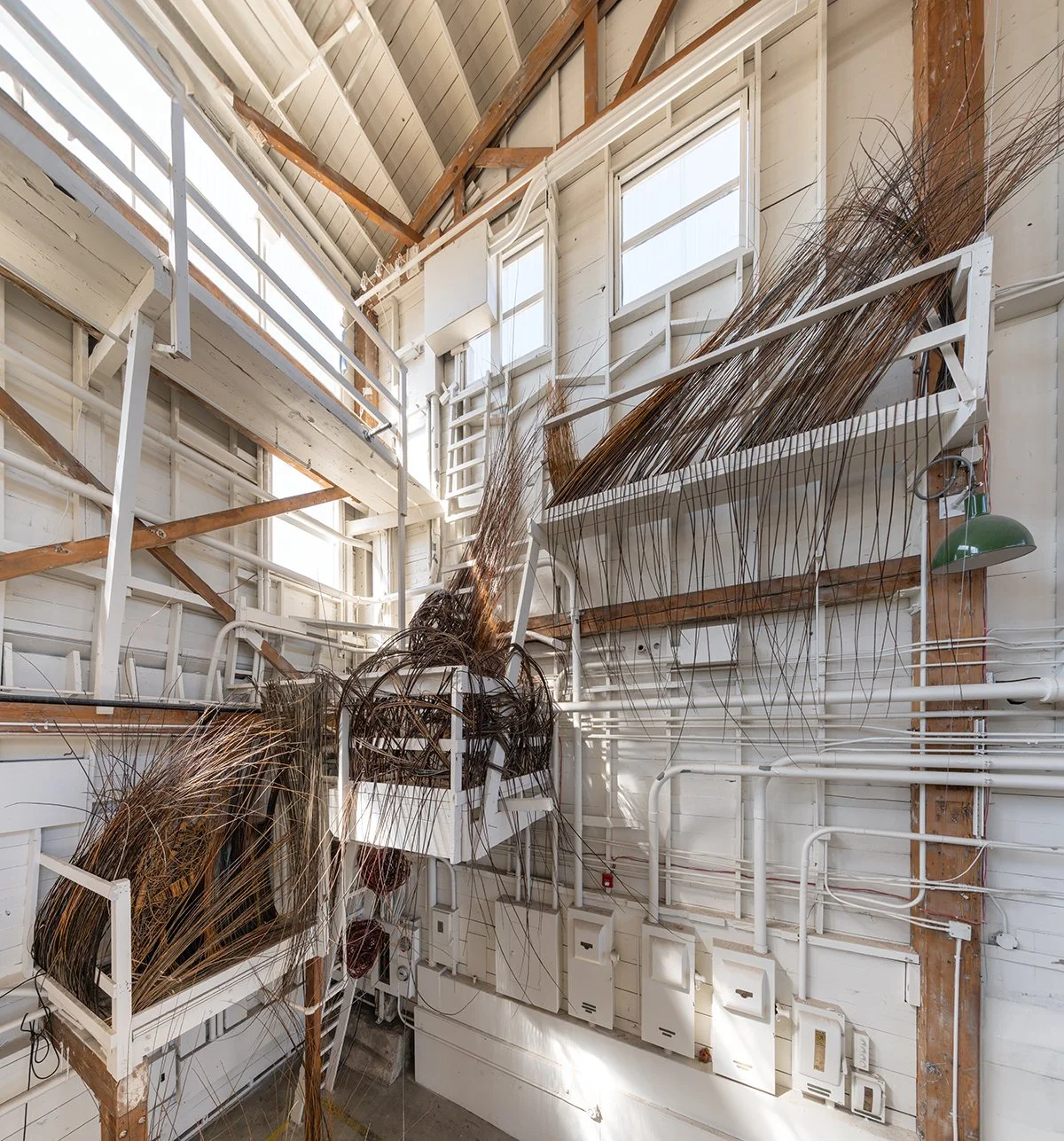 Terrain-2025-DZC_4154-Pano-Edit small.jpg