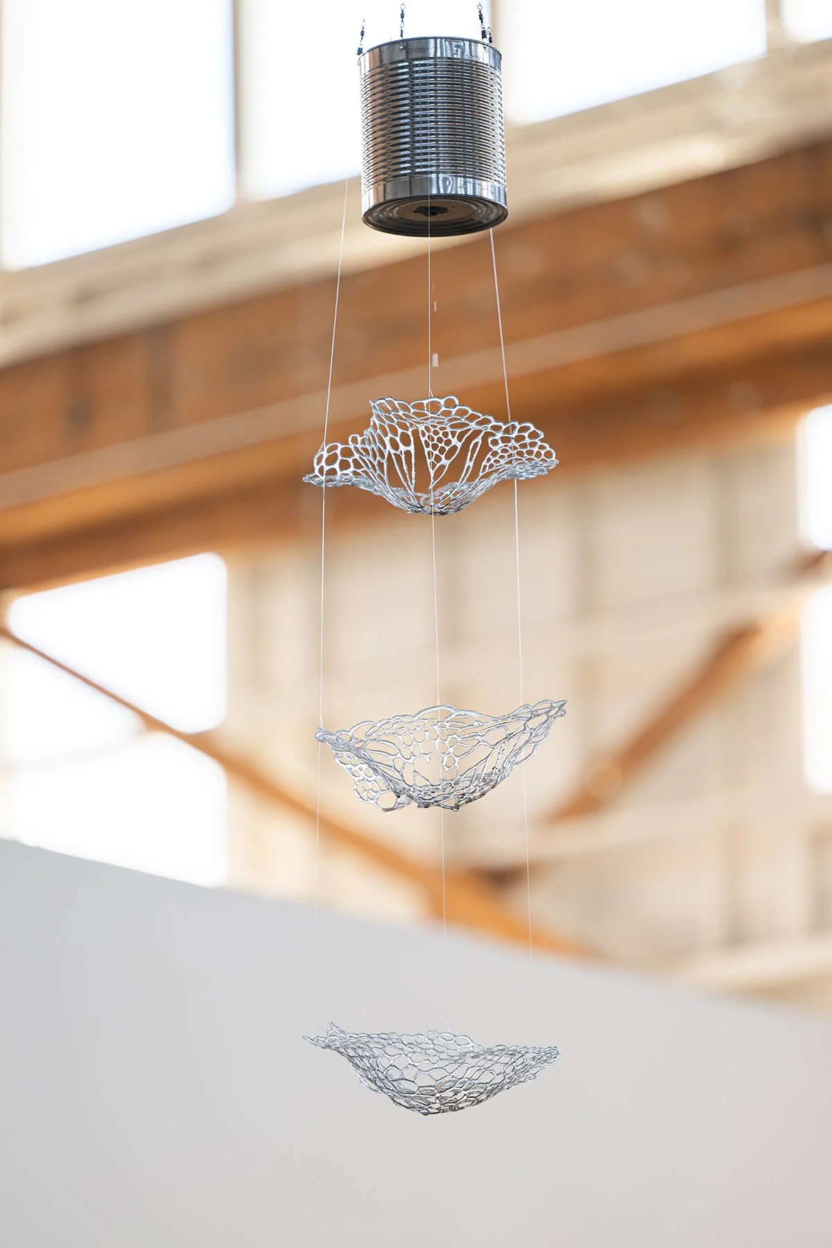 Terrain-2025-DZC_4073 small.jpg