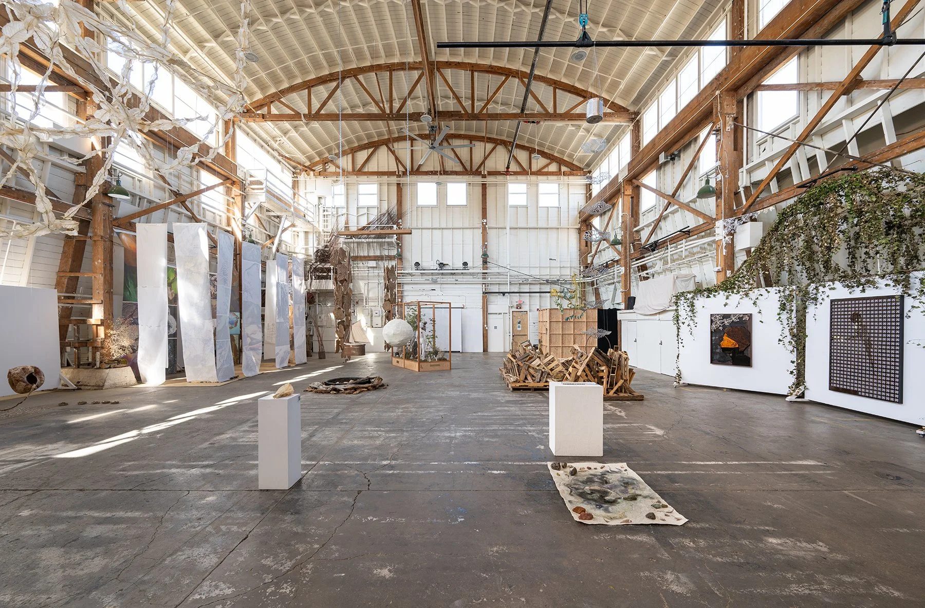 Terrain-2025-DZC_4114 small.jpg