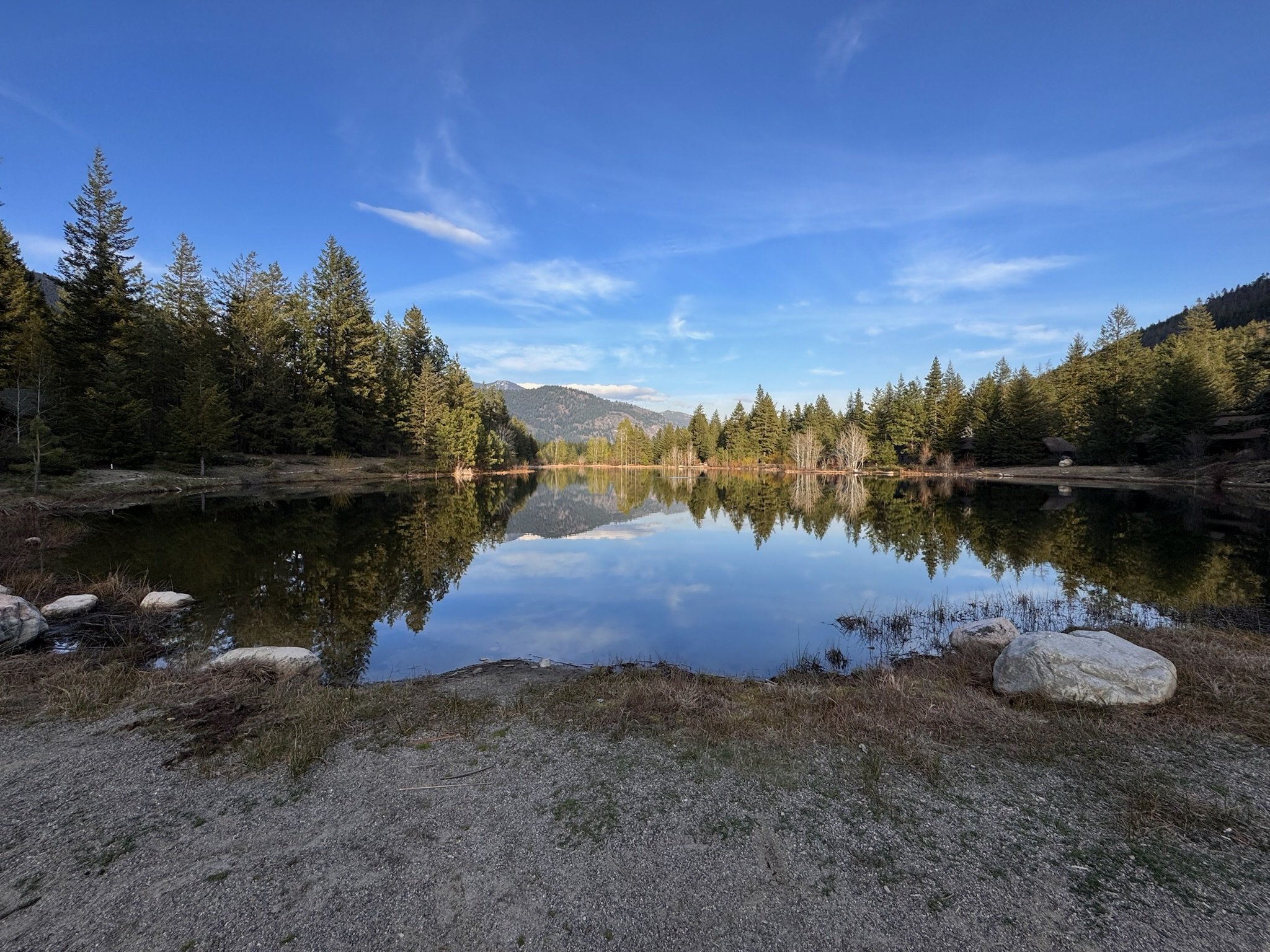 Scenic landscape with a calm lake, surrounded by pine trees and mountains, reflecting a clear blue sky.