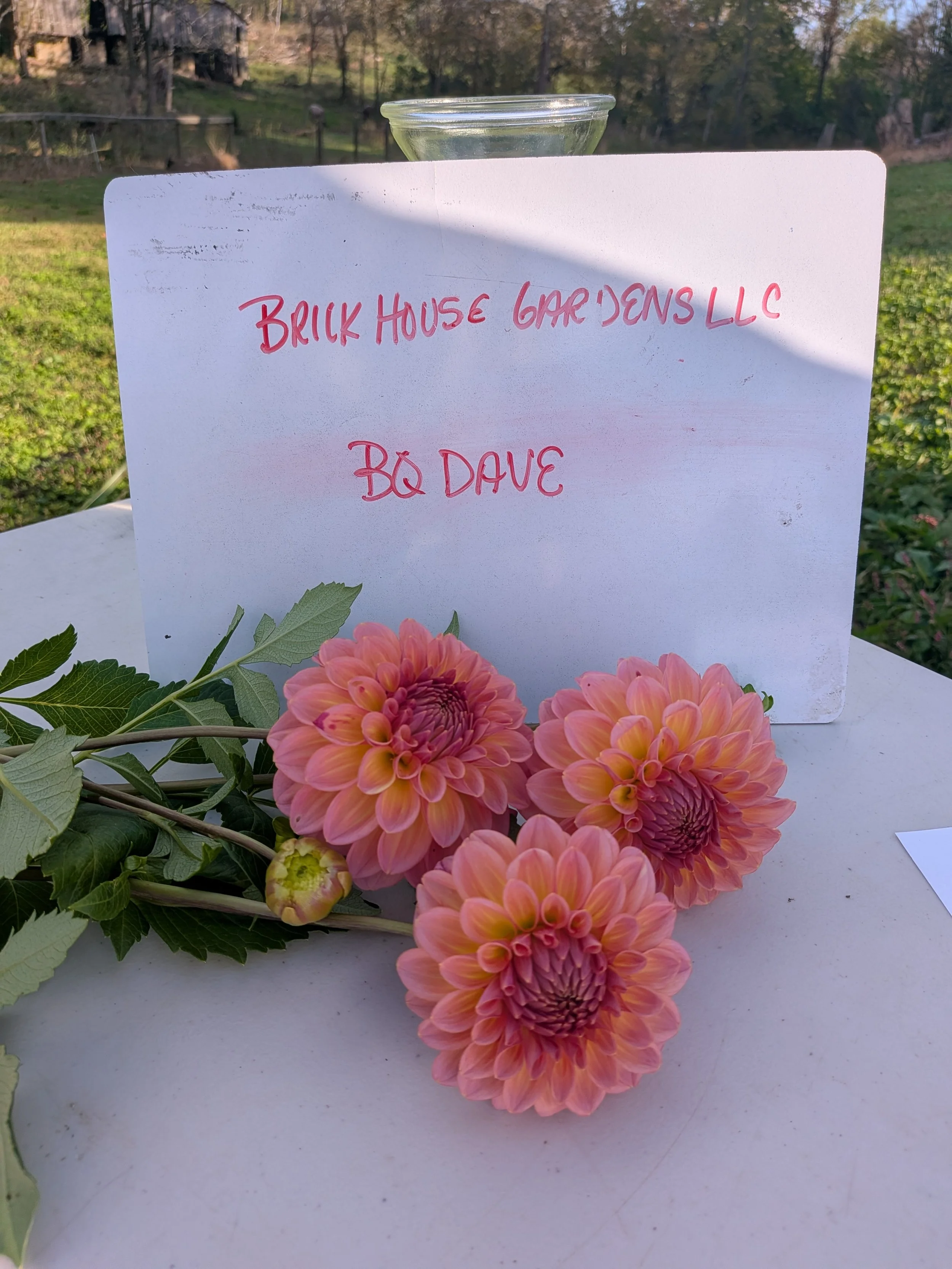 bloomquist dave.jpg