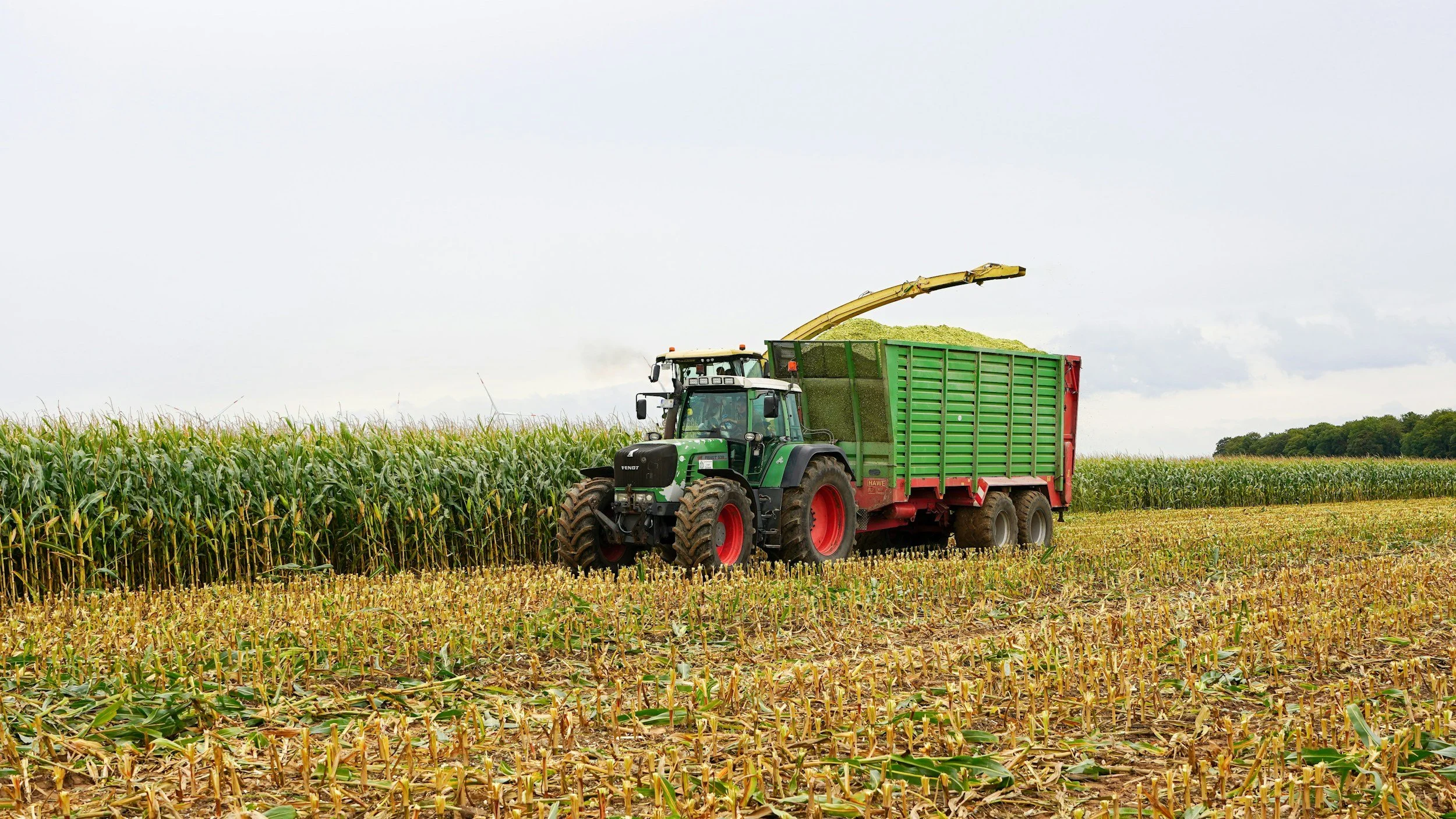 A tractor pulling a trailer loaded with large round hay bales in a vast open field under a partly cloudy sky.