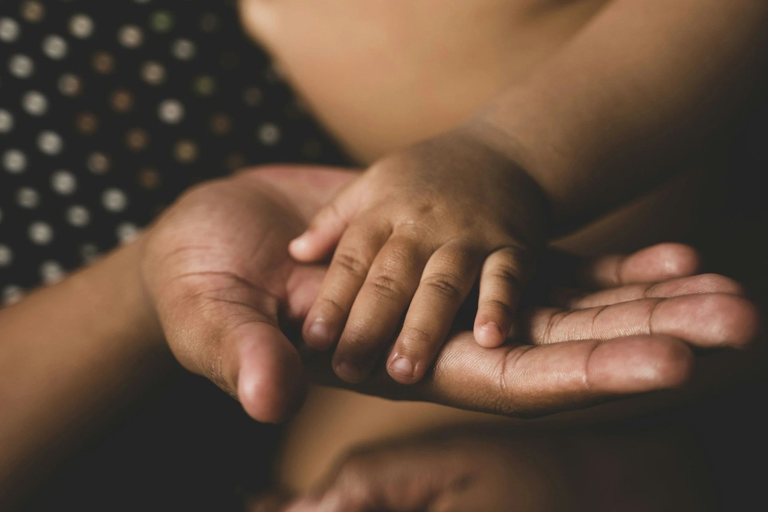 Close-up of an adult's hand holding a child's hand.