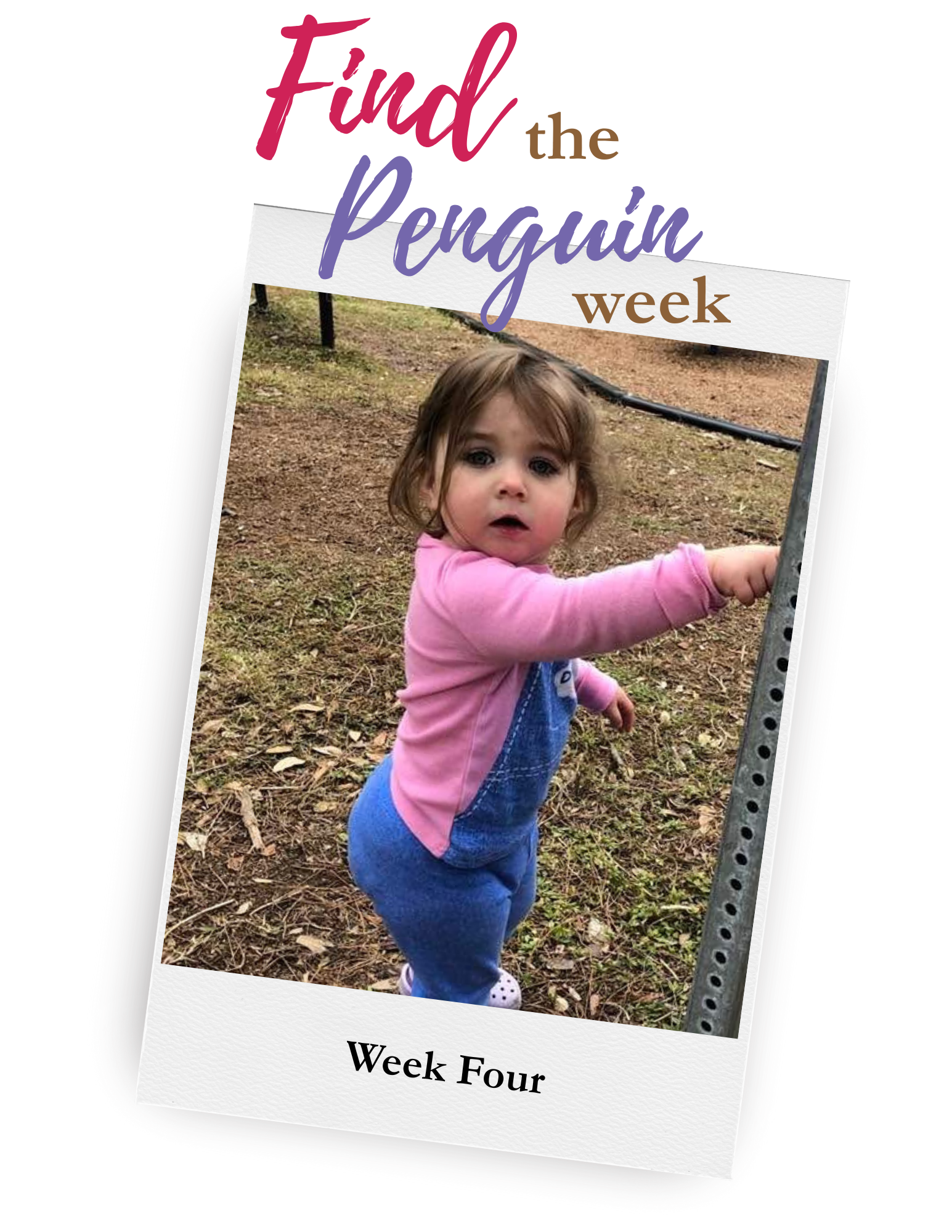 Find the Penguin Week