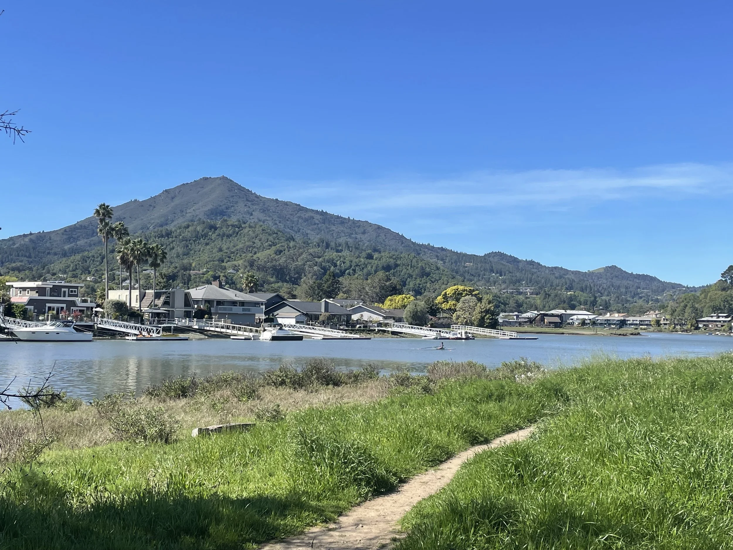 Best Marin Neighborhoods for Families with kids moving from SF