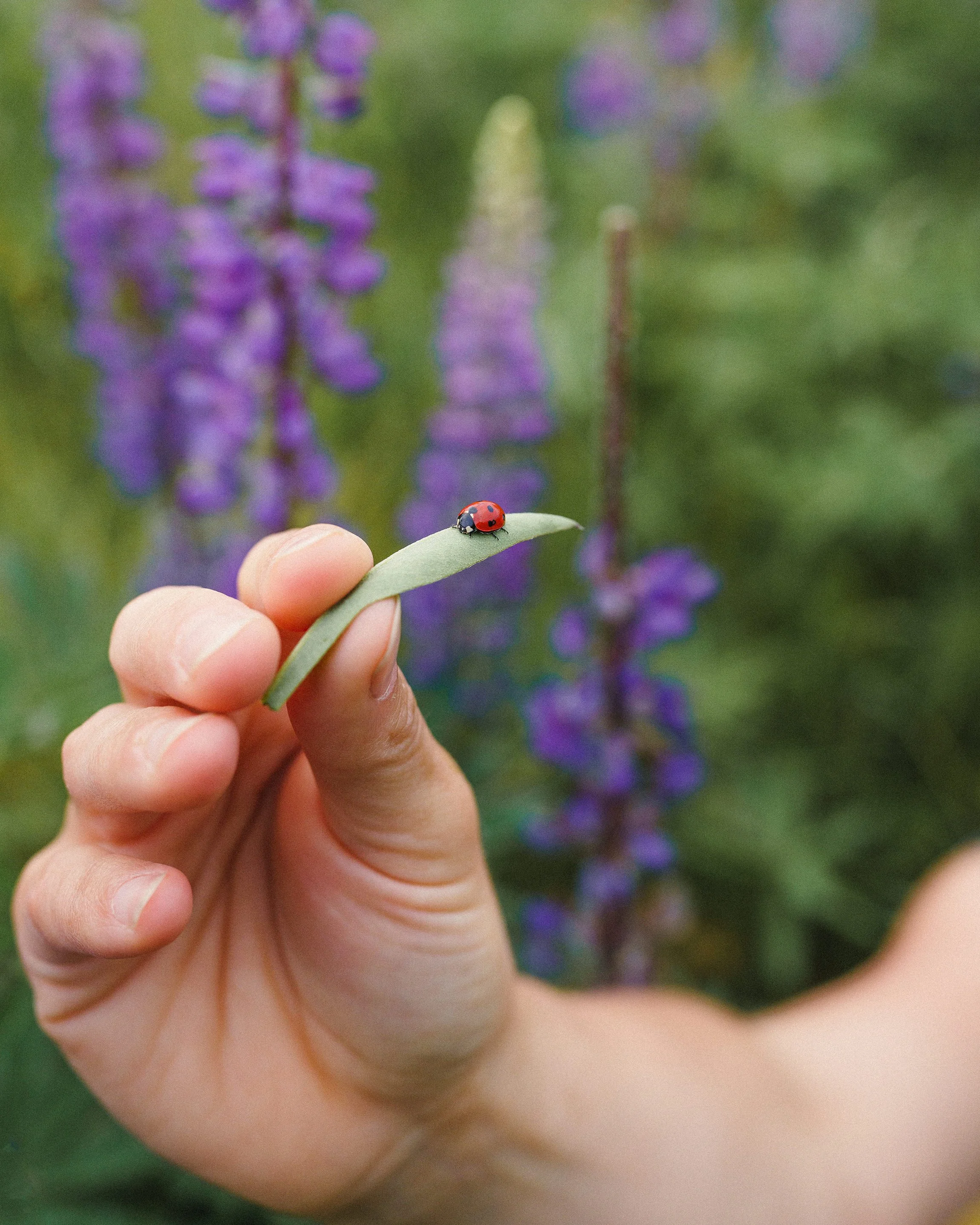 The Power of Child-Led Play in Natural Environments