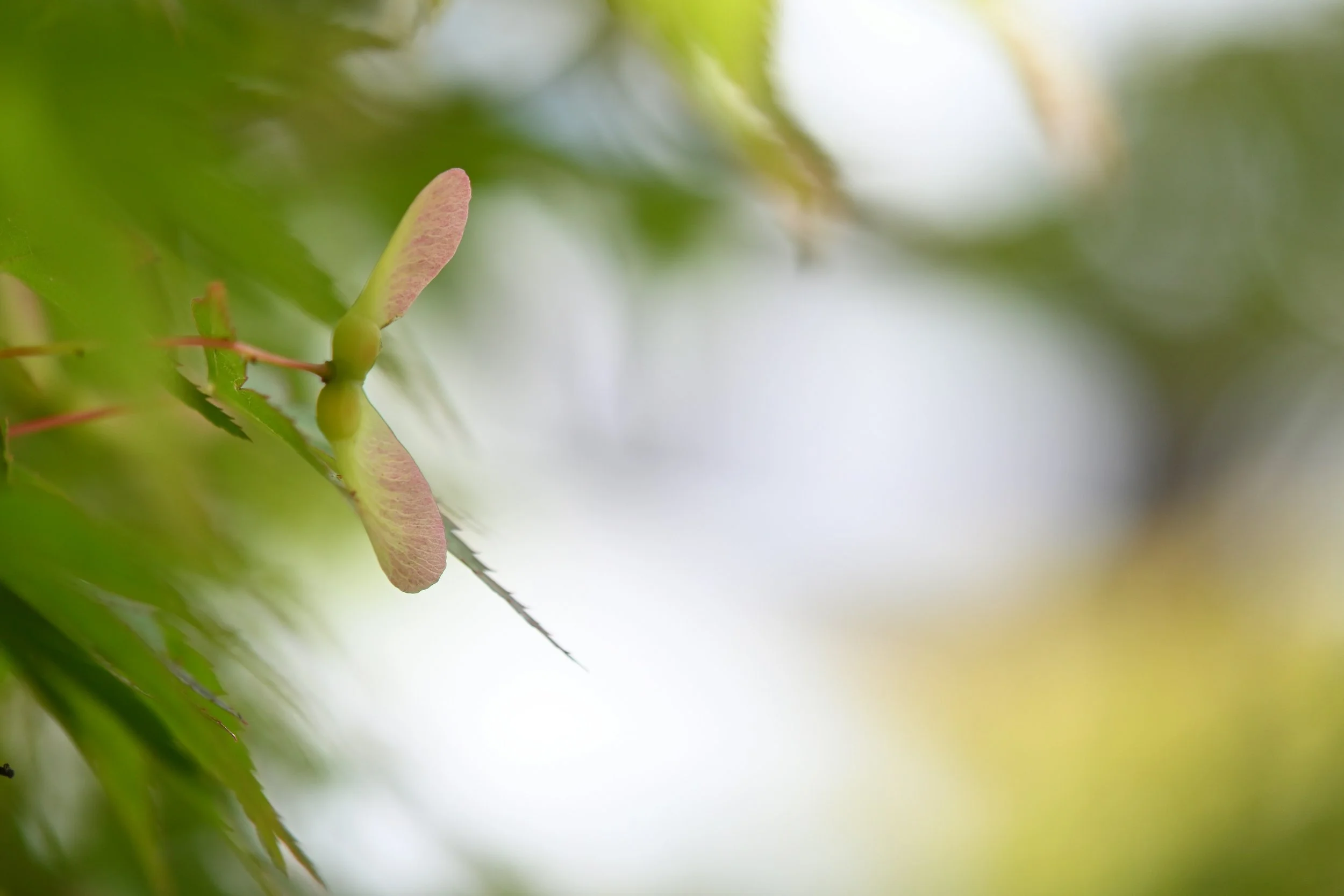 Unstructured Outdoor Play: Imagination, Growth, and Sensory Exploration