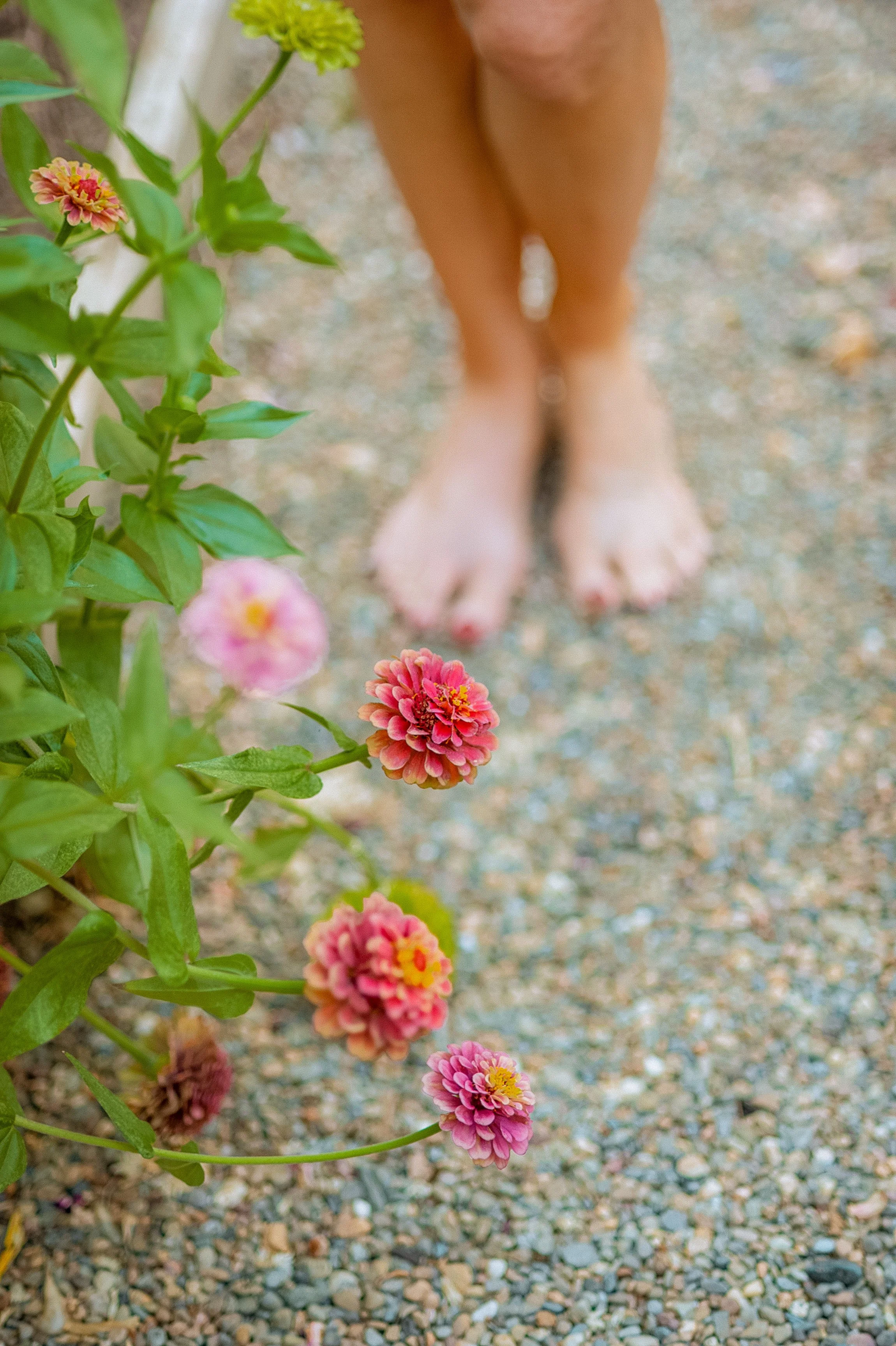 Why We Love Earthing
