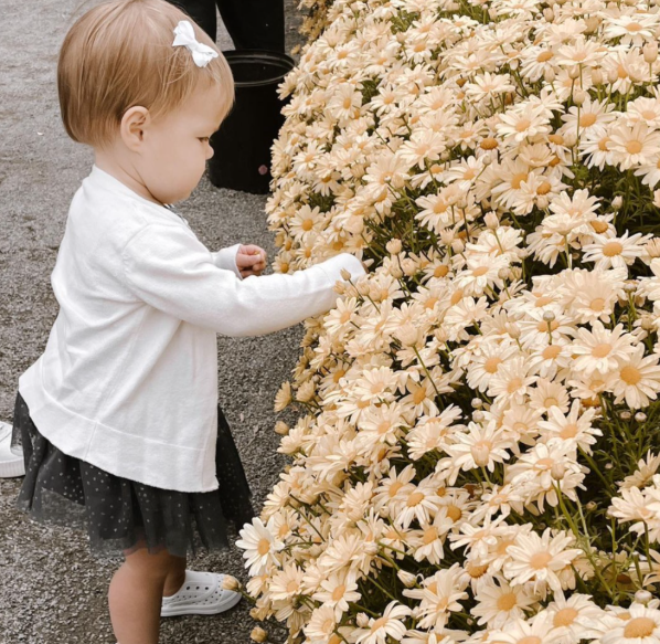 A little girl in a white cardigan explores a row of yellow wildflowers.