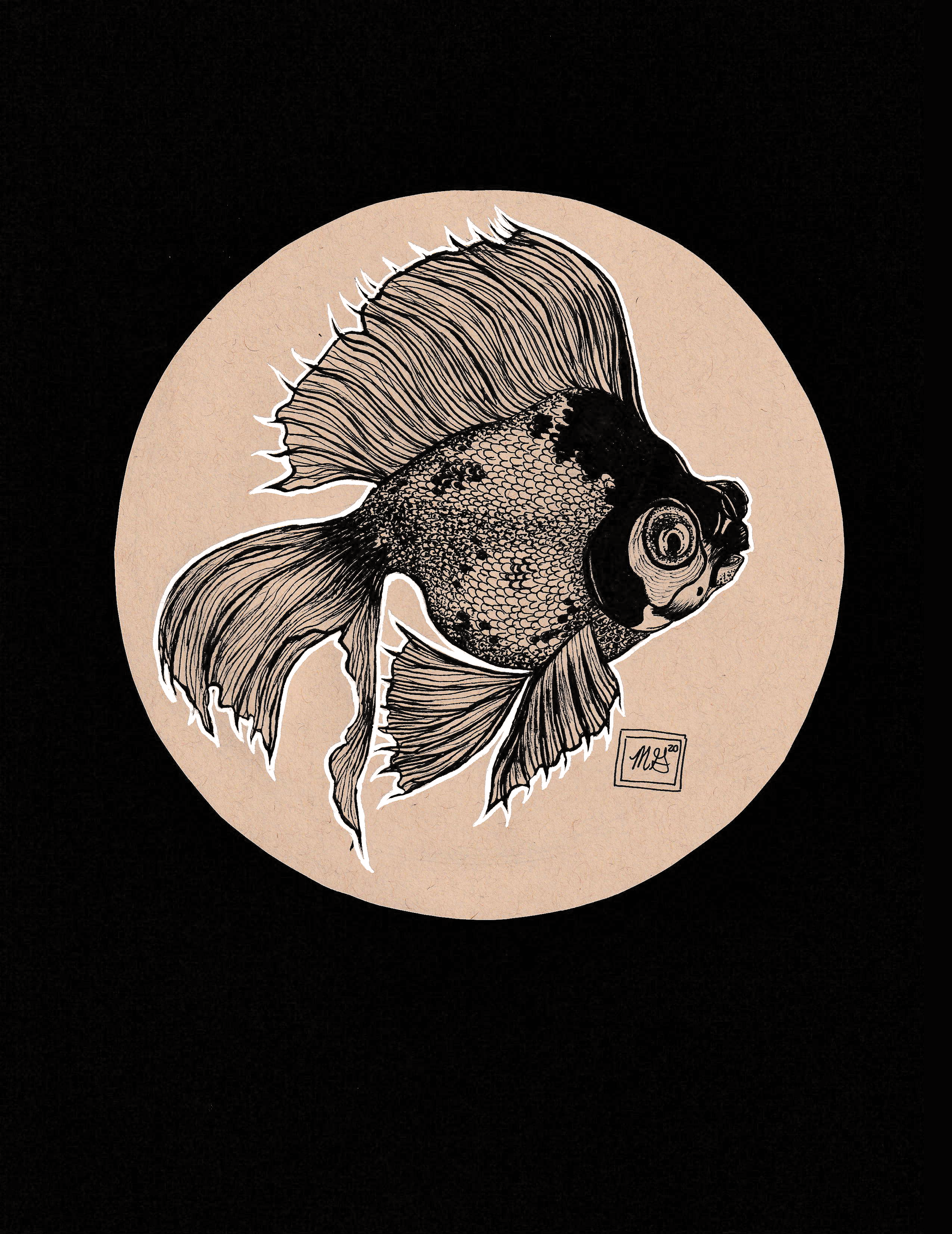 Ink Fish.png