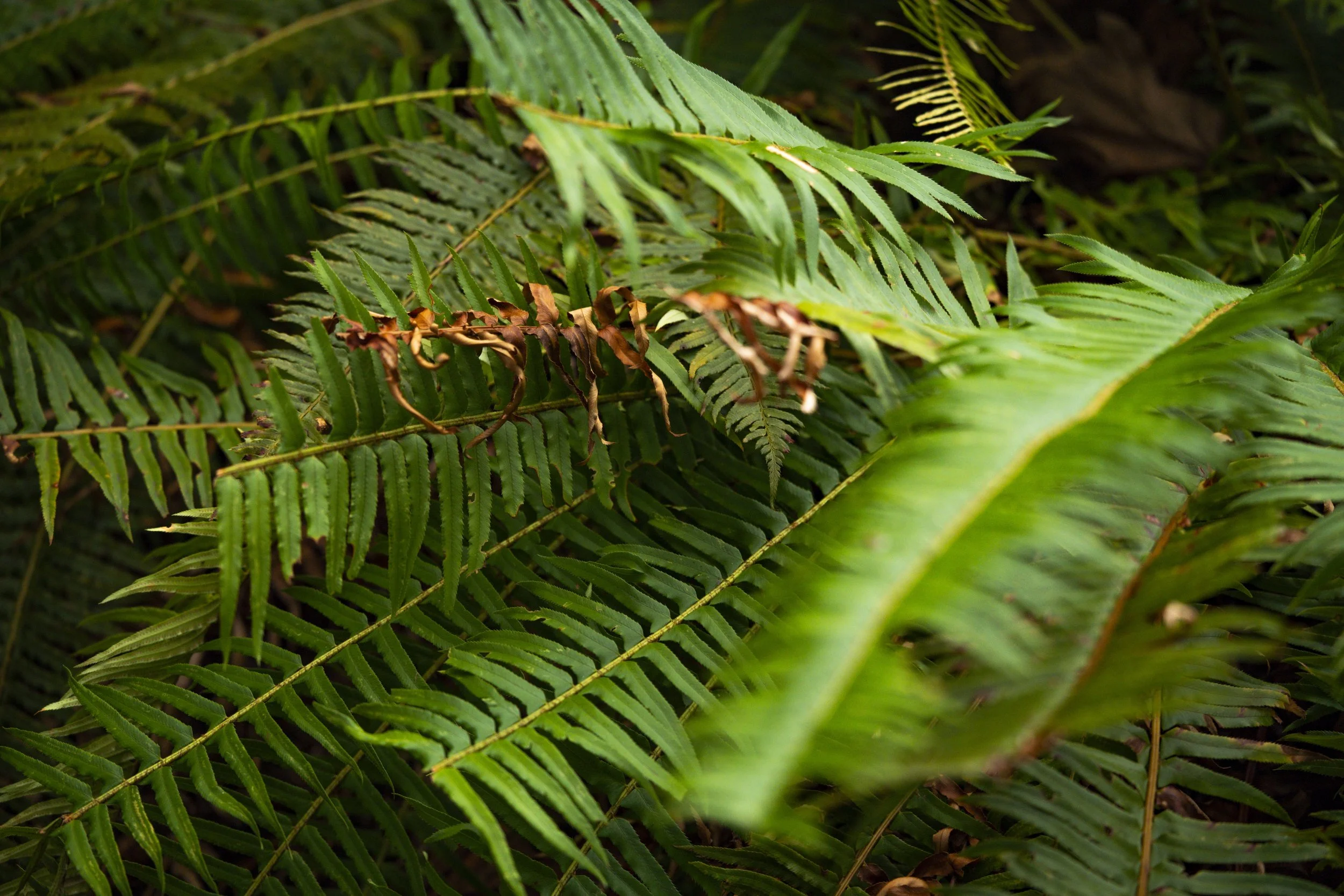 Seattle, Washington.