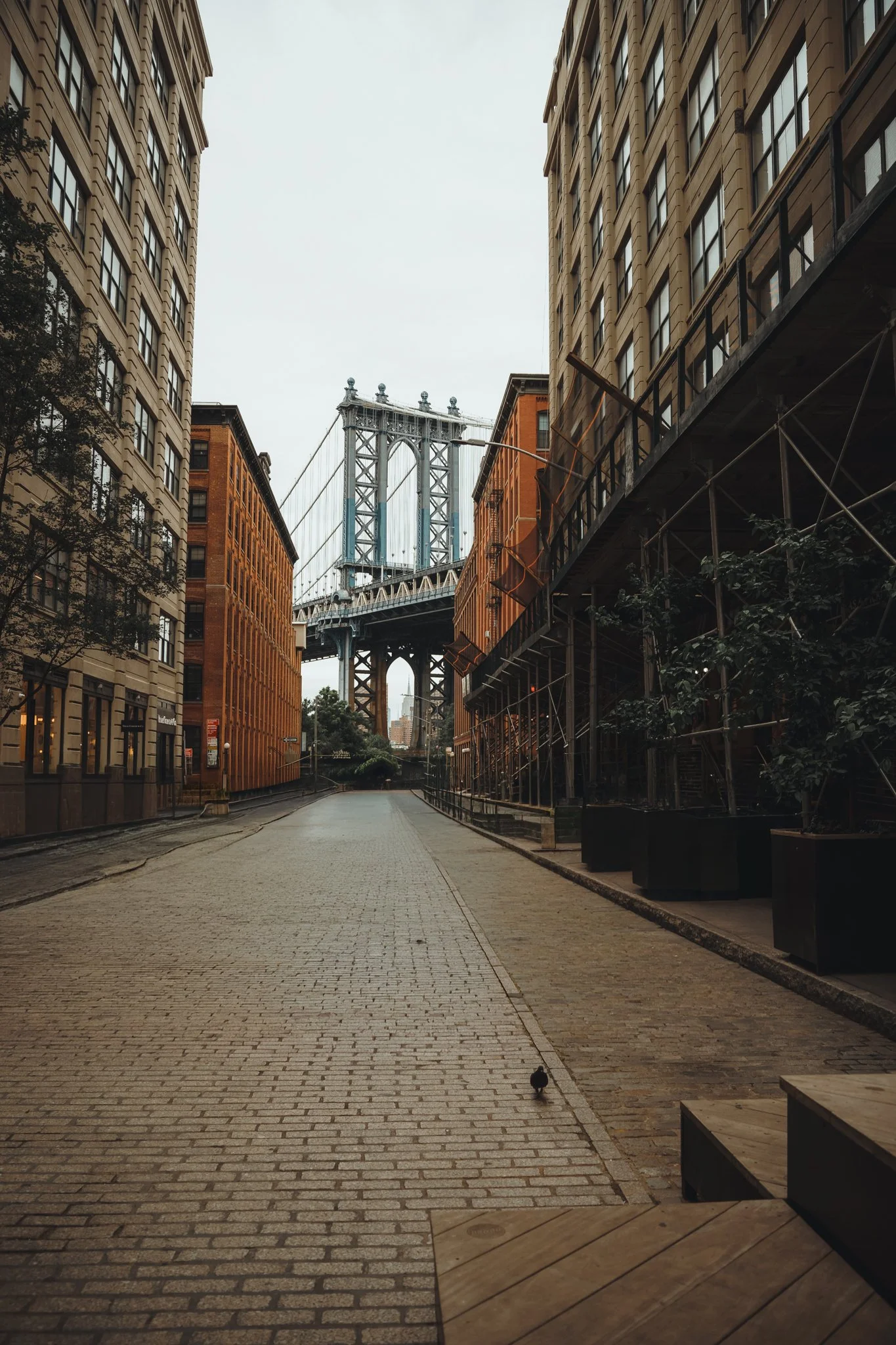 Manhattan Bridge.jpg