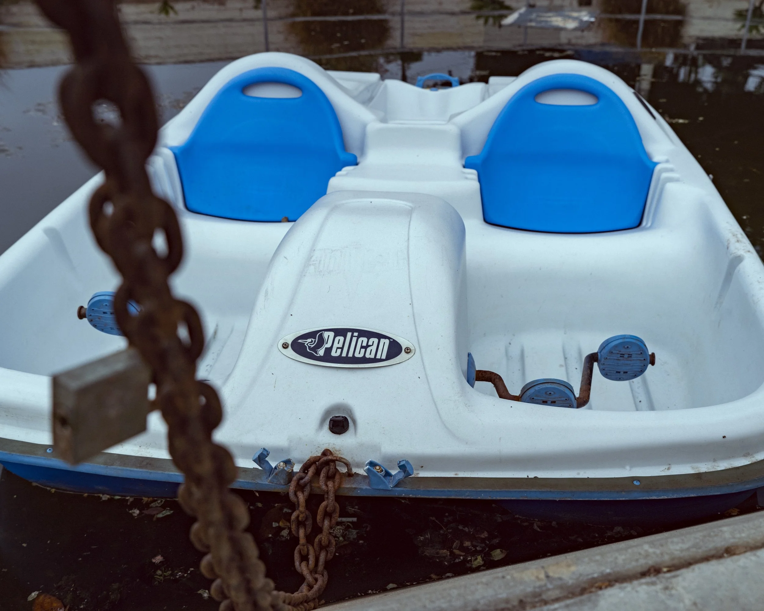 Paddle Boat.jpeg