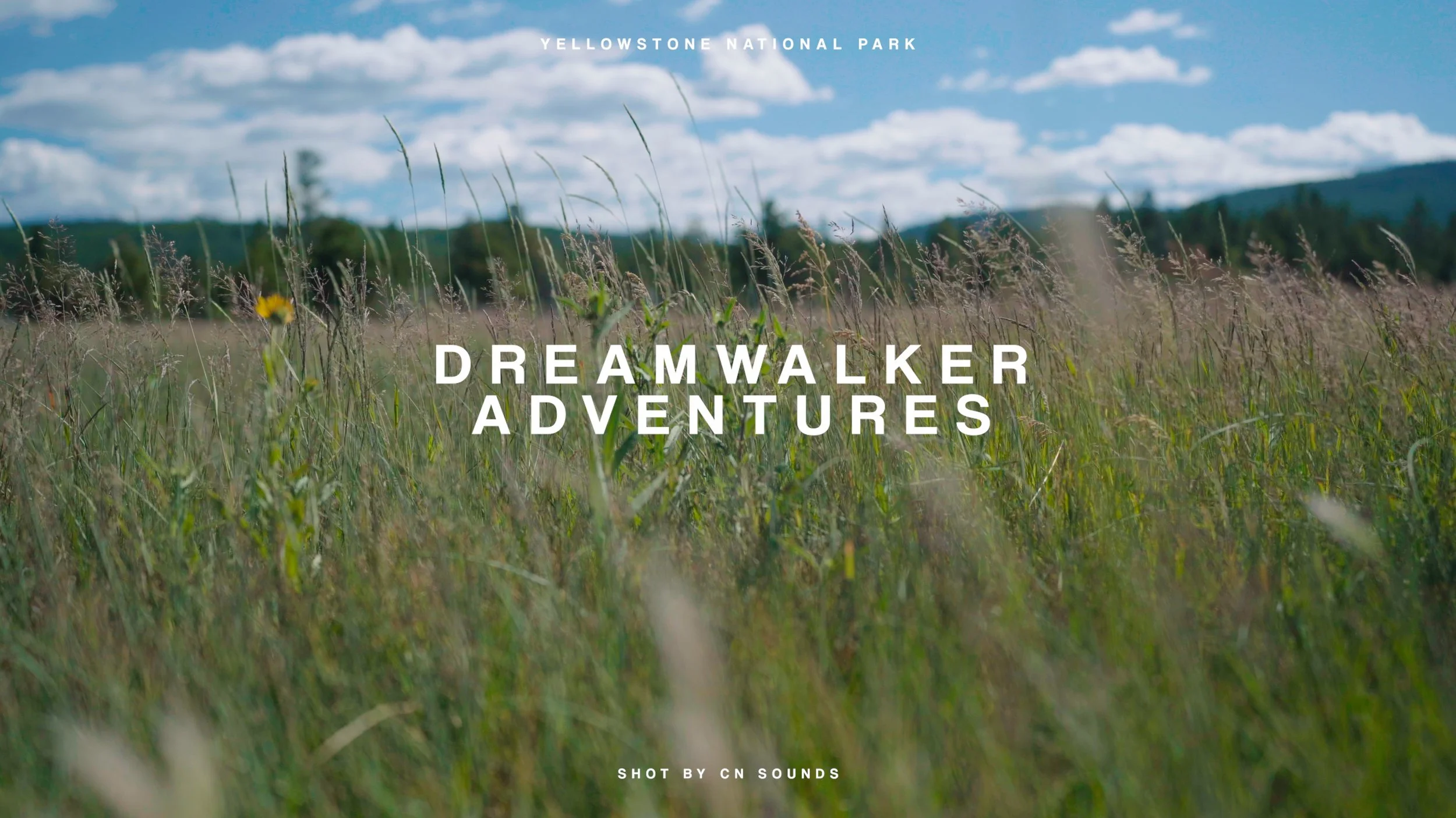 Yellowstone National Park with Dreamwalker Adventures. Click to watch more!