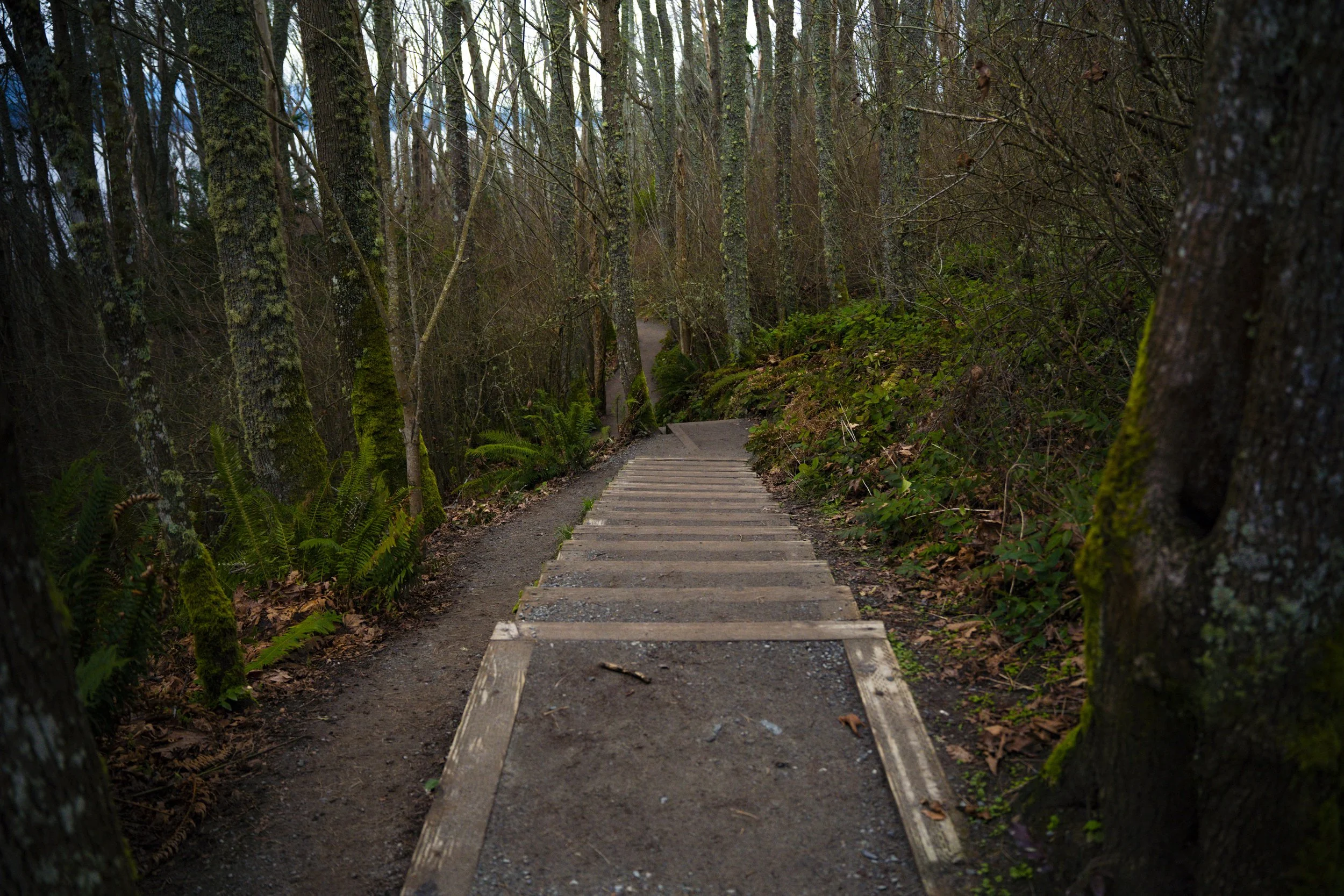 Seattle, Washington.