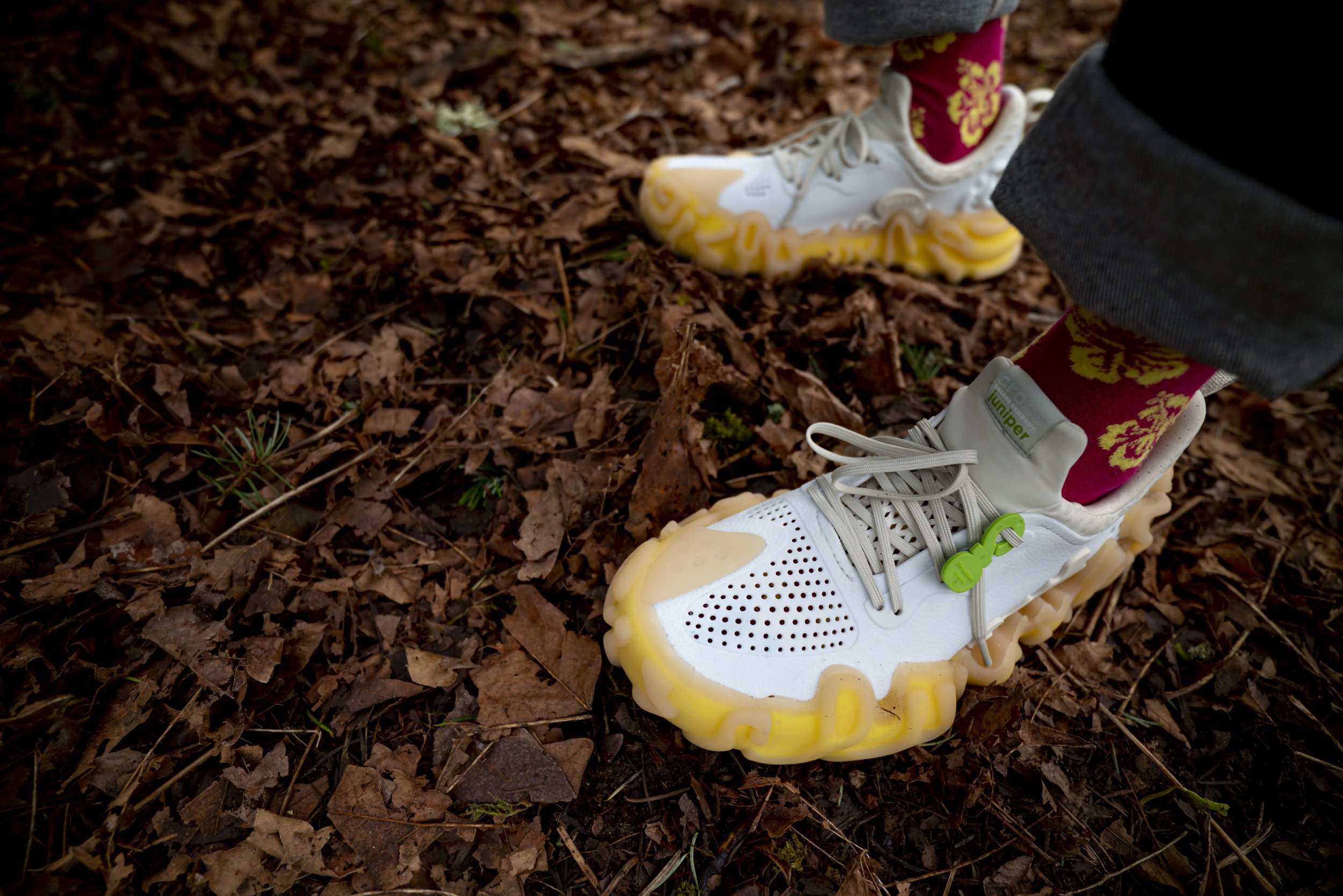 Seattle, Washington.