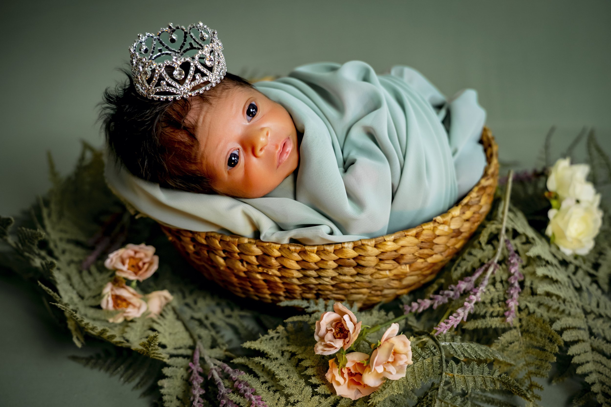 New Born Photography.