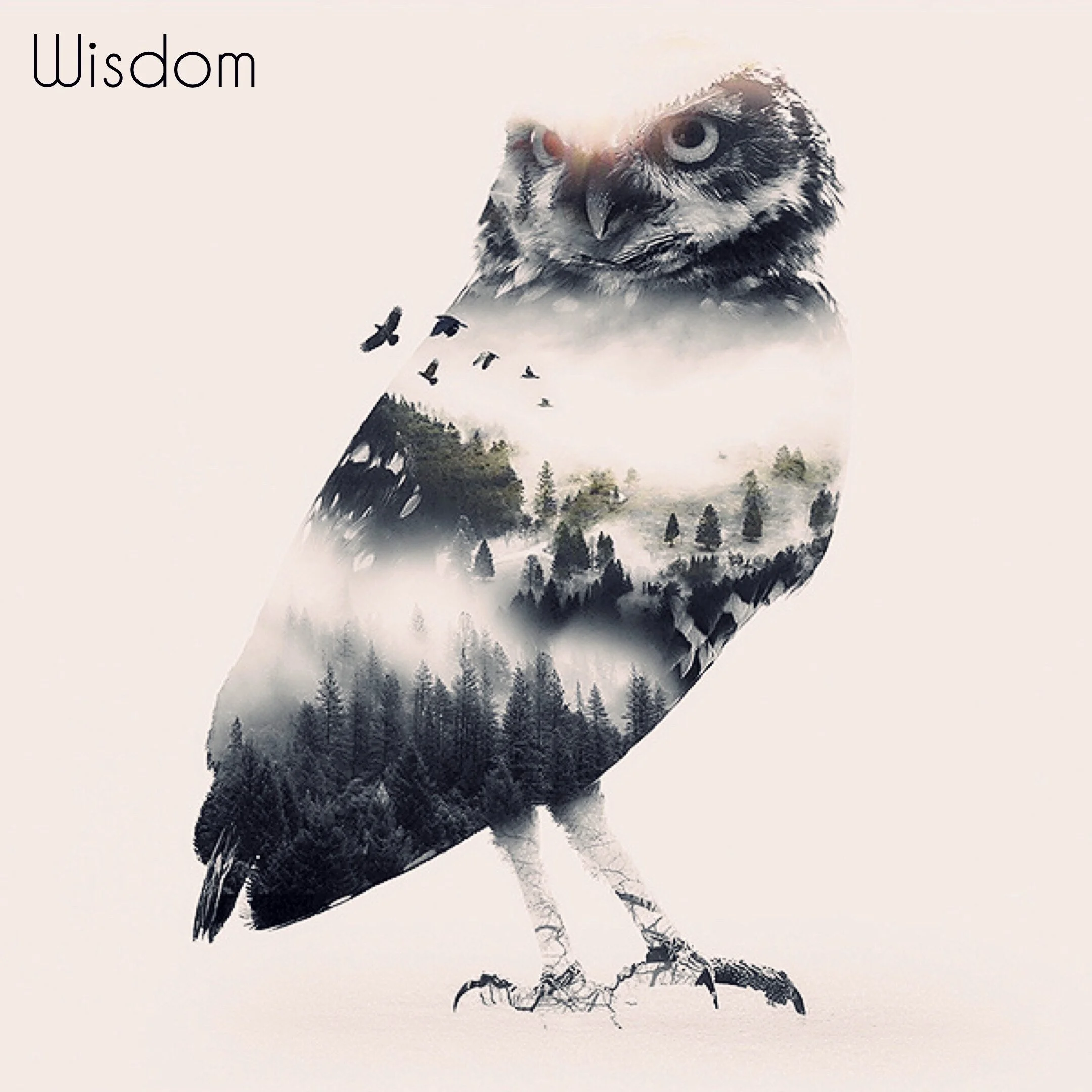 Wisdom