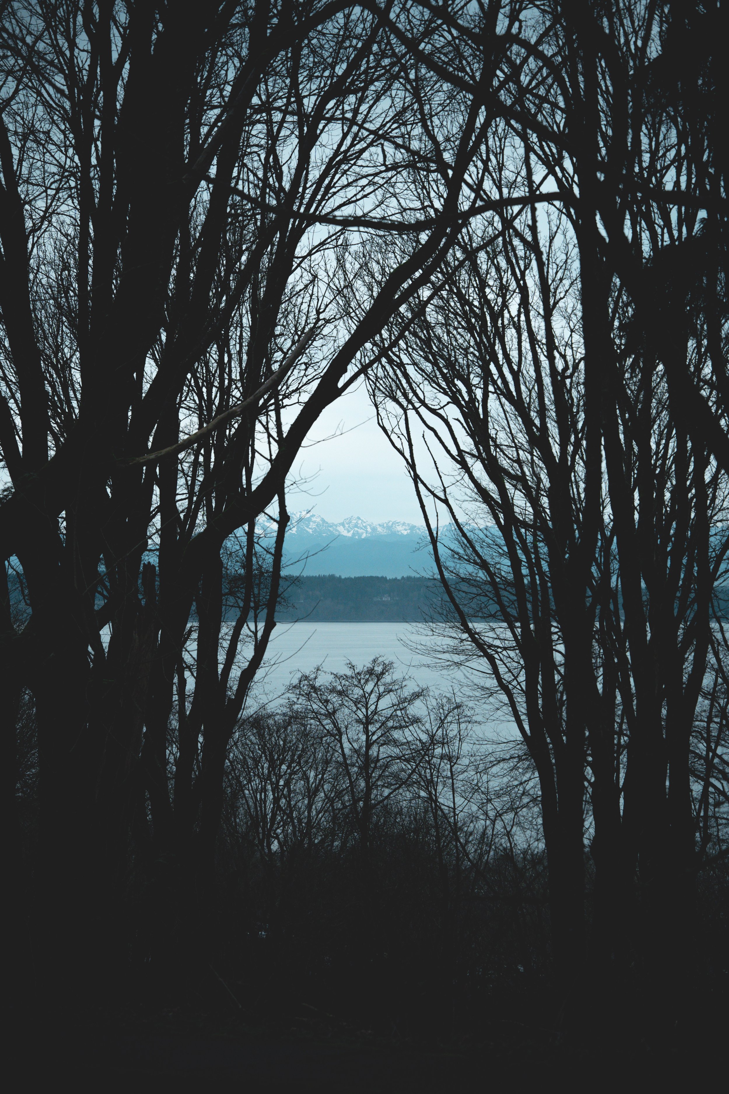 Seattle, Washington.