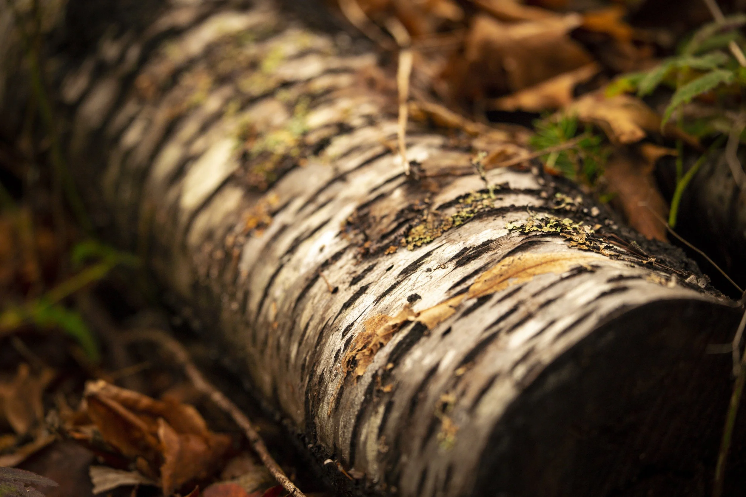 Seattle, Washington.