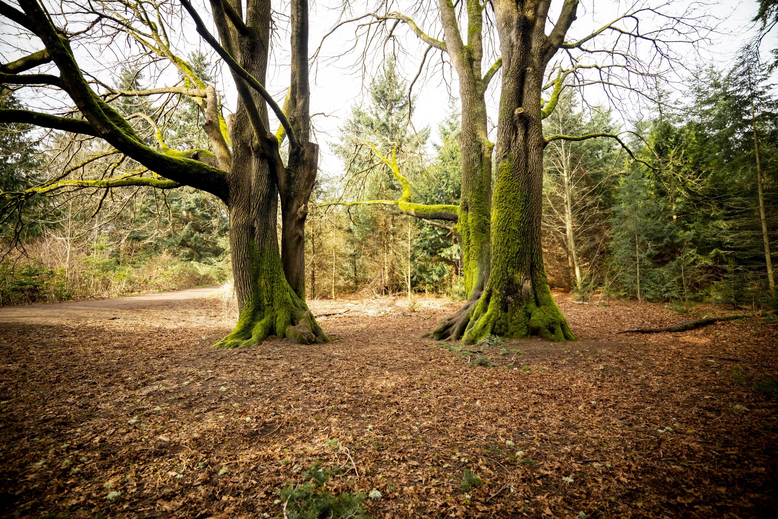 Seattle, Washington.