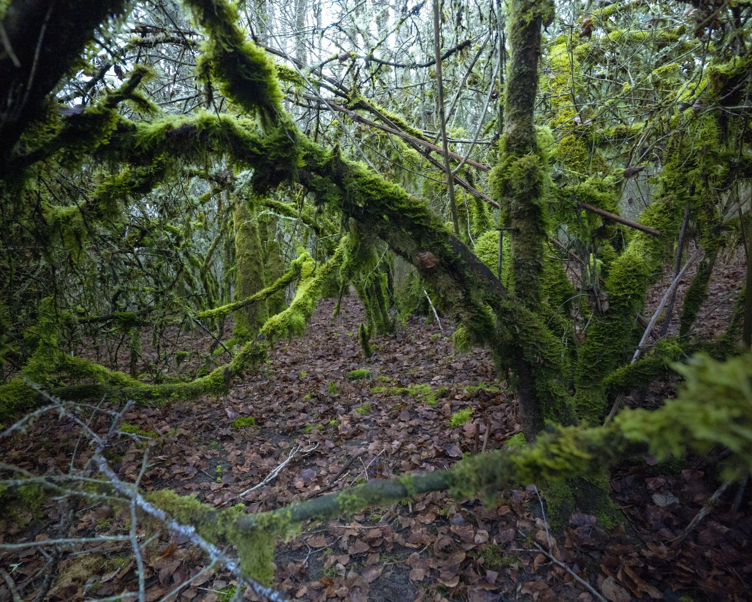 Seattle, Washington.