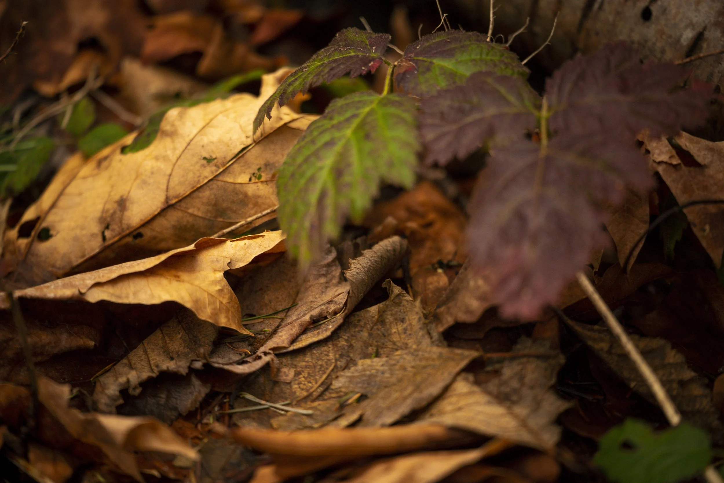 Seattle, Washington.