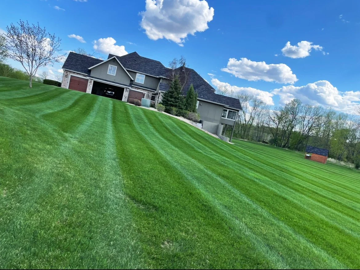 Lawn-care-mowing-fertilize-seeding-maple-lake.jpg