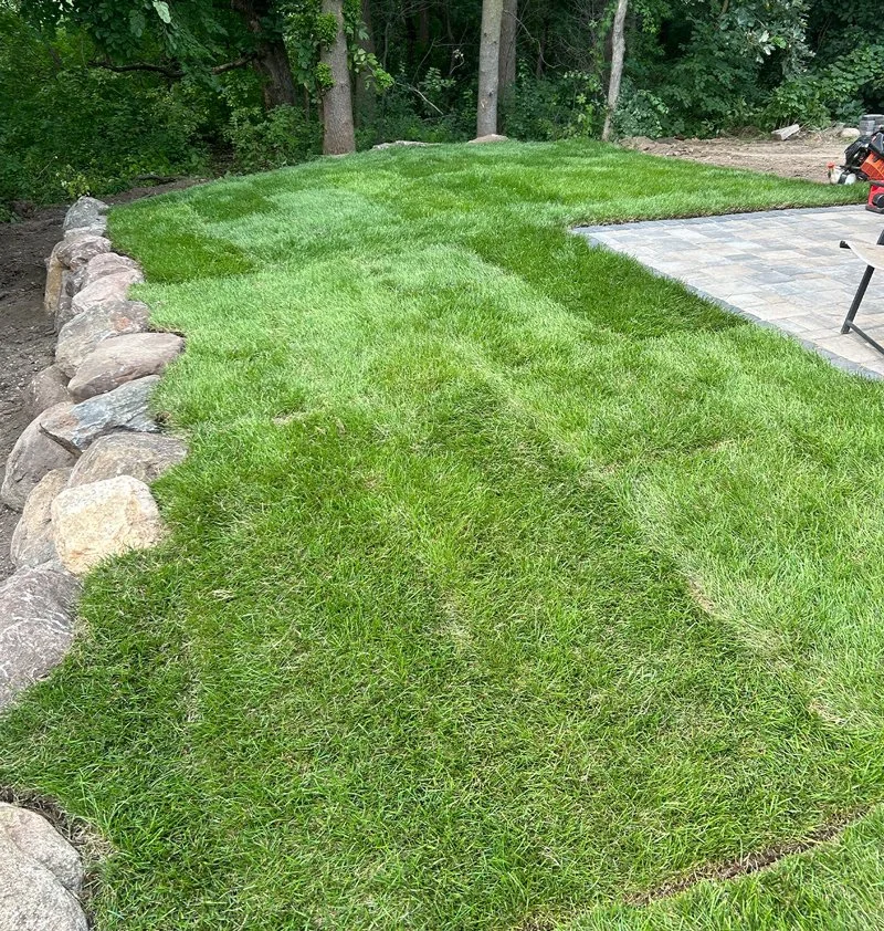 hydroseeding-lawn.jpg