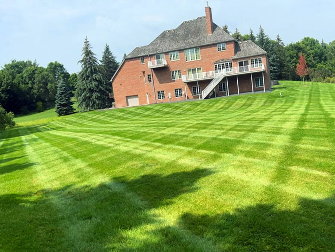 Lawn-care-mowing-fertilize-seeding-maple-lake-2.jpg