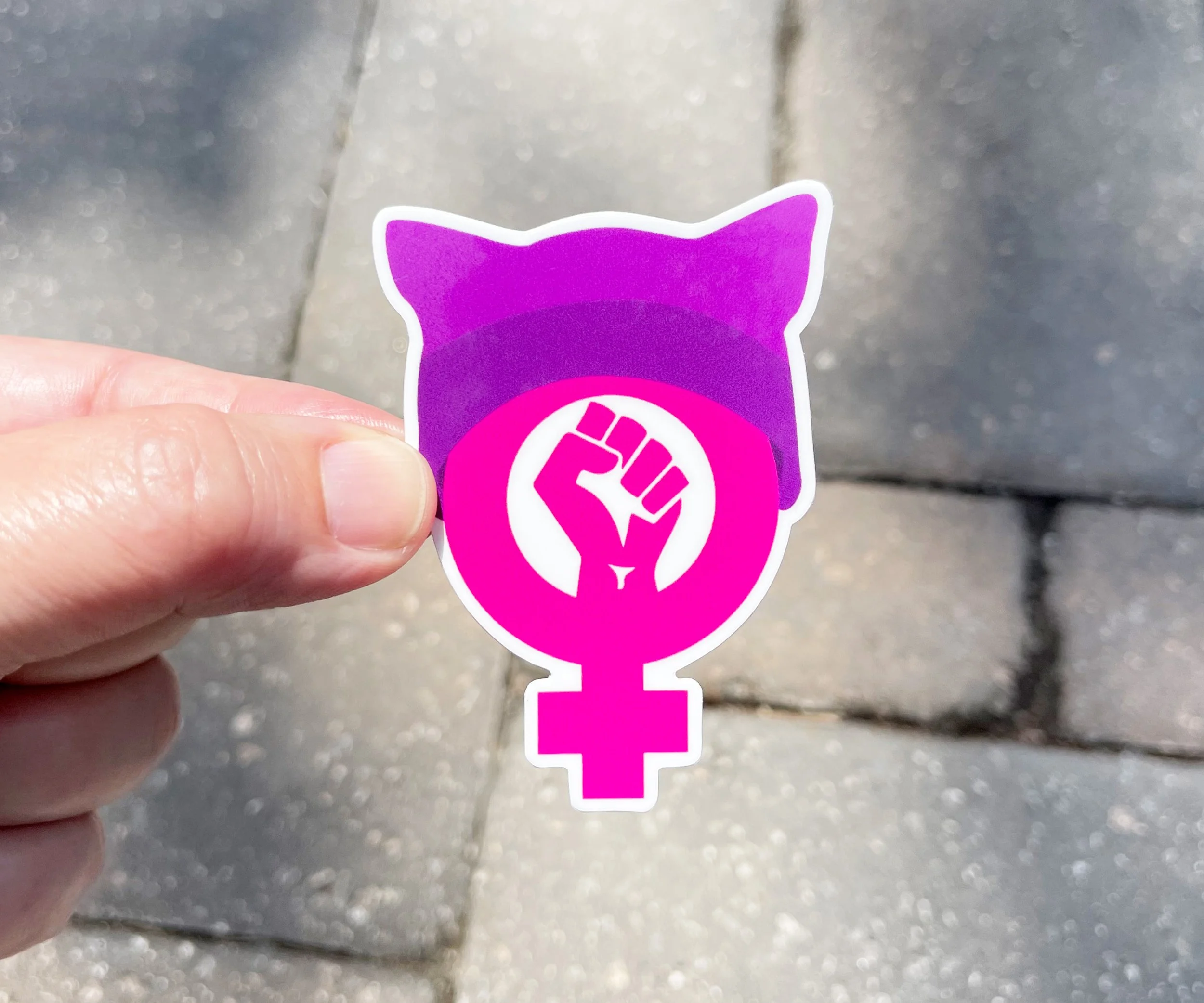Radical Feminist Pussy Hat 02.jpg