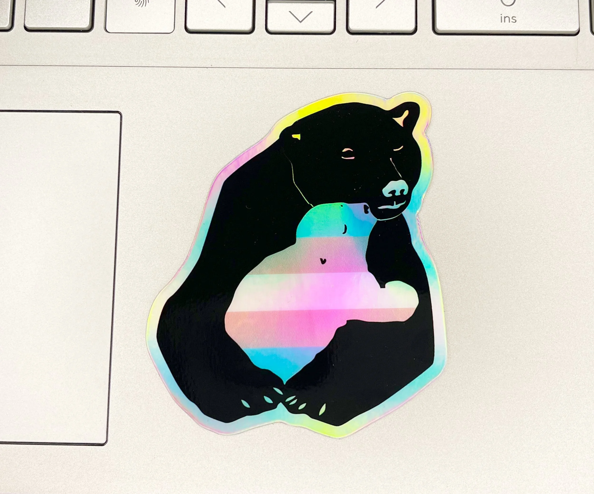 TransParent Bear 04.jpg