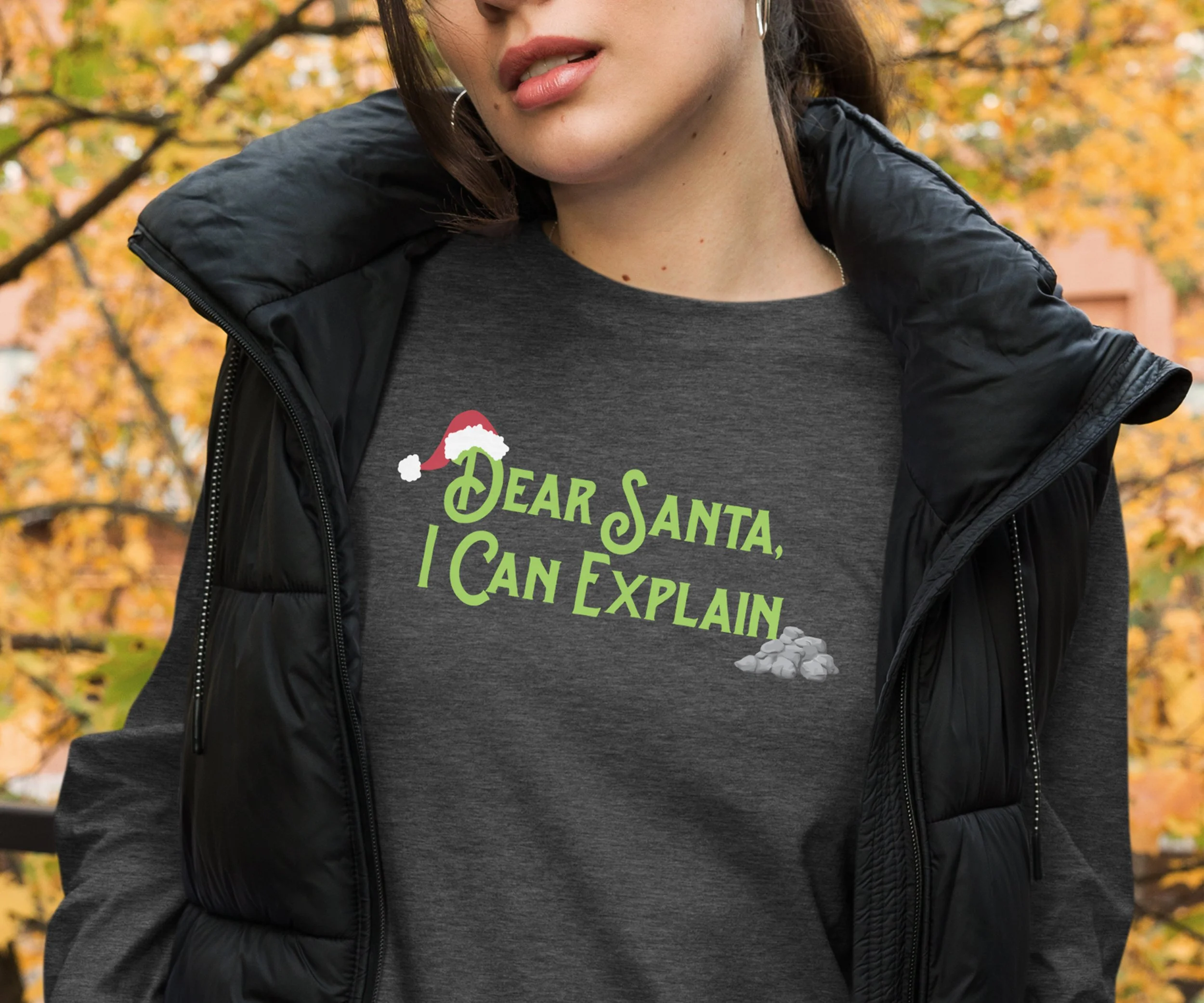 Dear Santa Long Sleeve Shirt 03.jpg
