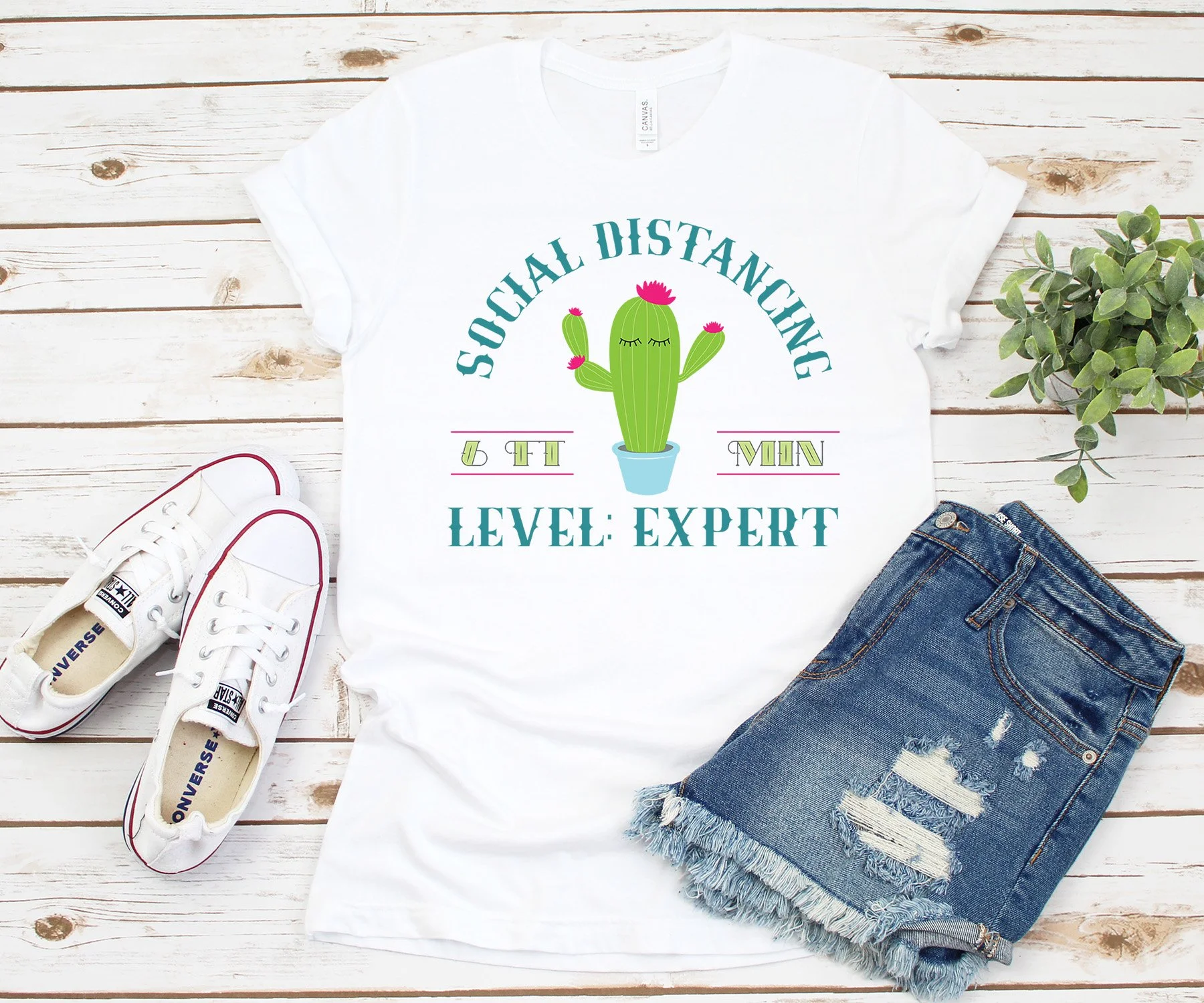 Social Distancing Cactus 08.jpg