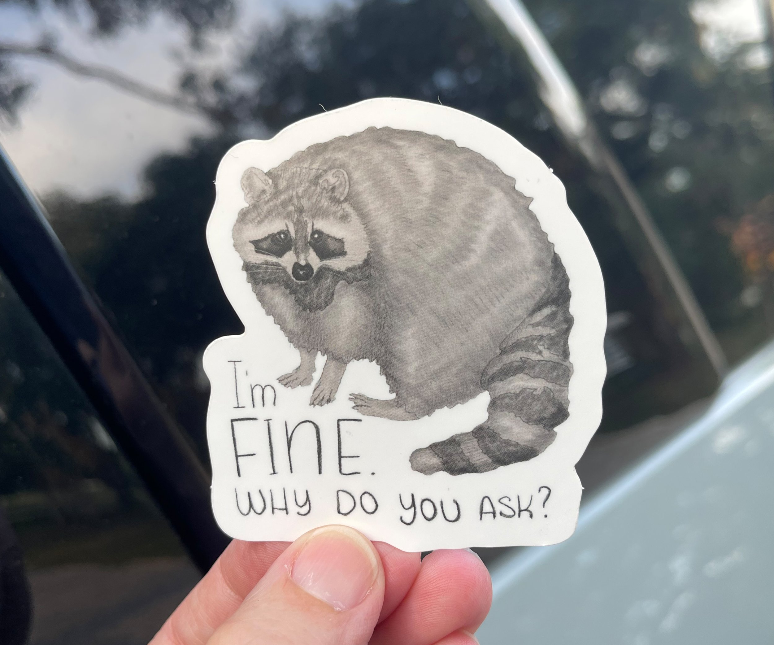 I'm Fine Raccoon 05.jpg